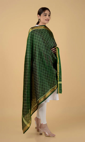 Rajkoti Patola Dupatta Chanda