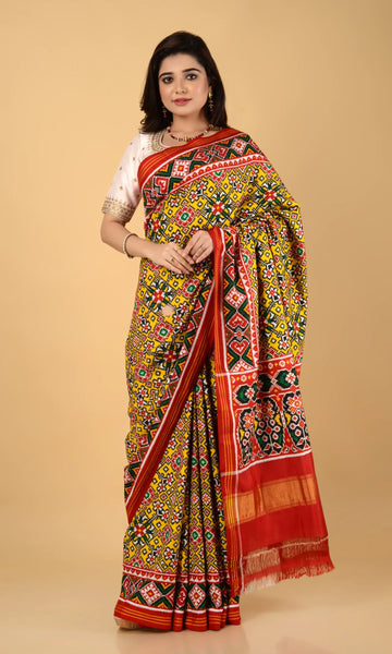 Double Ikat Patola Saree