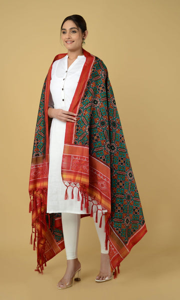 Single Ikat Patola Dupatta Manekchowk