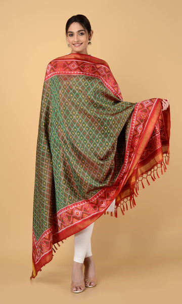 Single Ikat Patola Dupatta Chanda