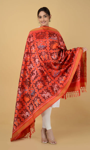 Single Ikat Patola Dupatta 9 Motif