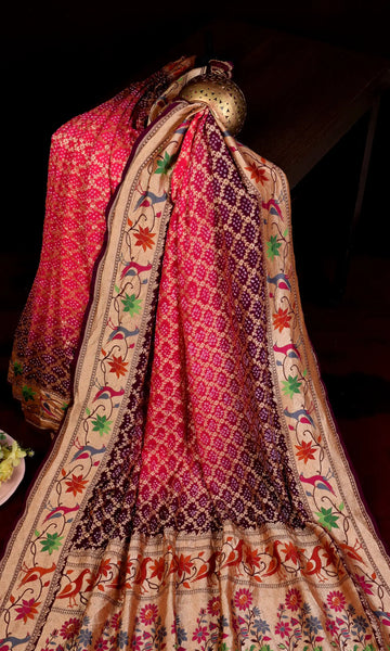 Banarasi Patola Weave Bandhani Saree