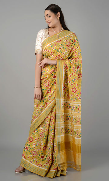 Double Ikat Patola Saree Nau Ratan