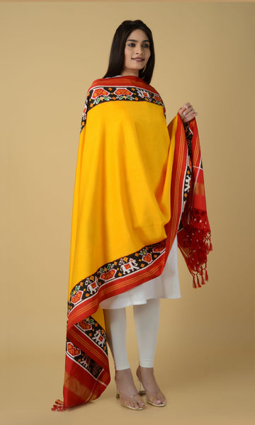 Double Ikat Patola Plain Gala Border Dupatta