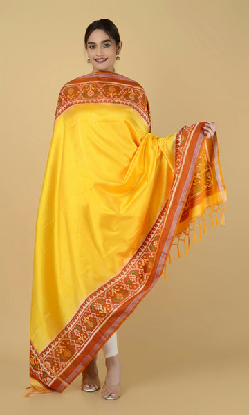 Twill Weave Patola Dupatta Gala Border