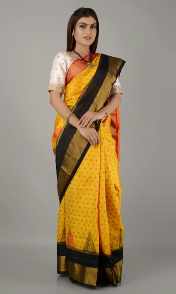 Rajkoti Patola Saree Triangle Border Bouti