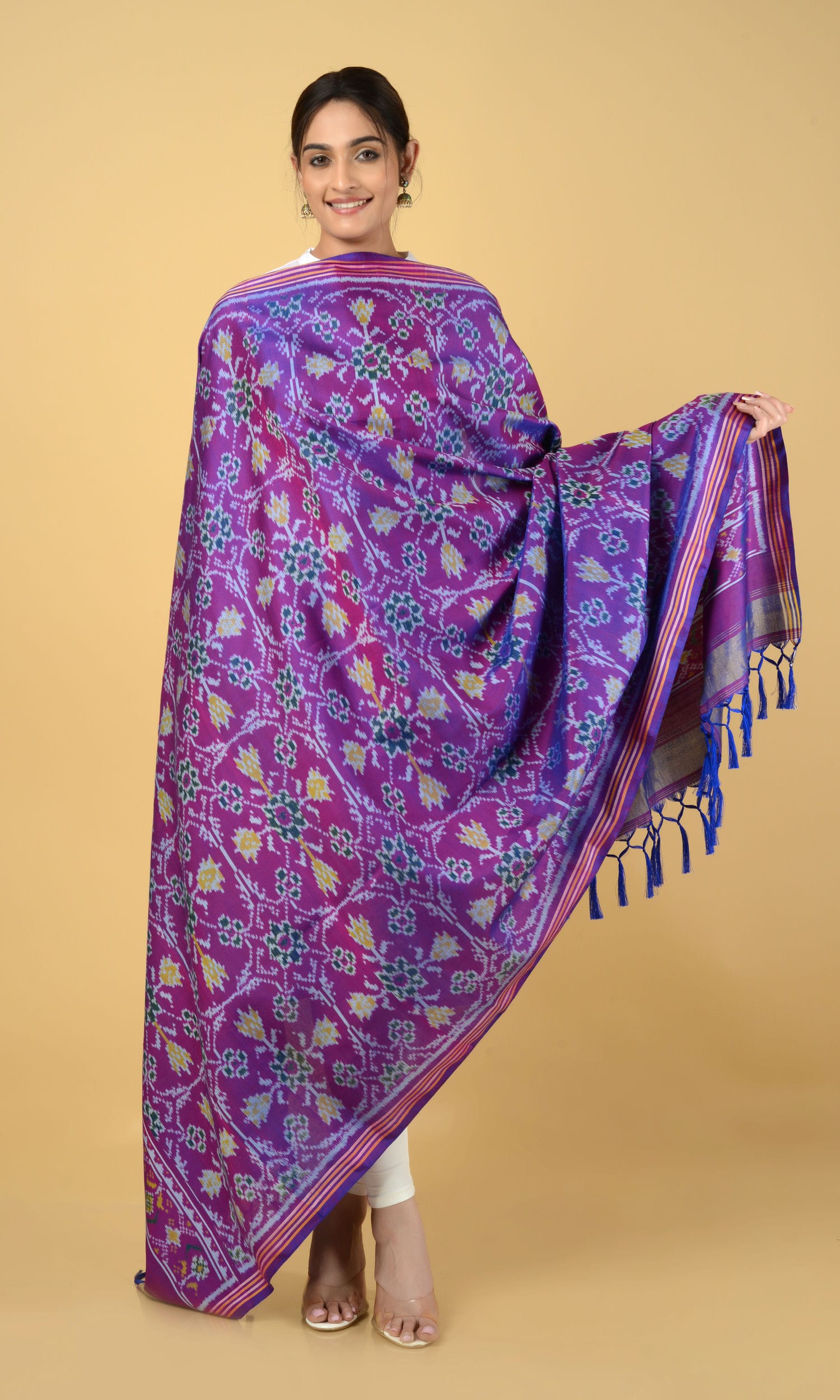 Single Ikat Patola Dupatta Chhabdi