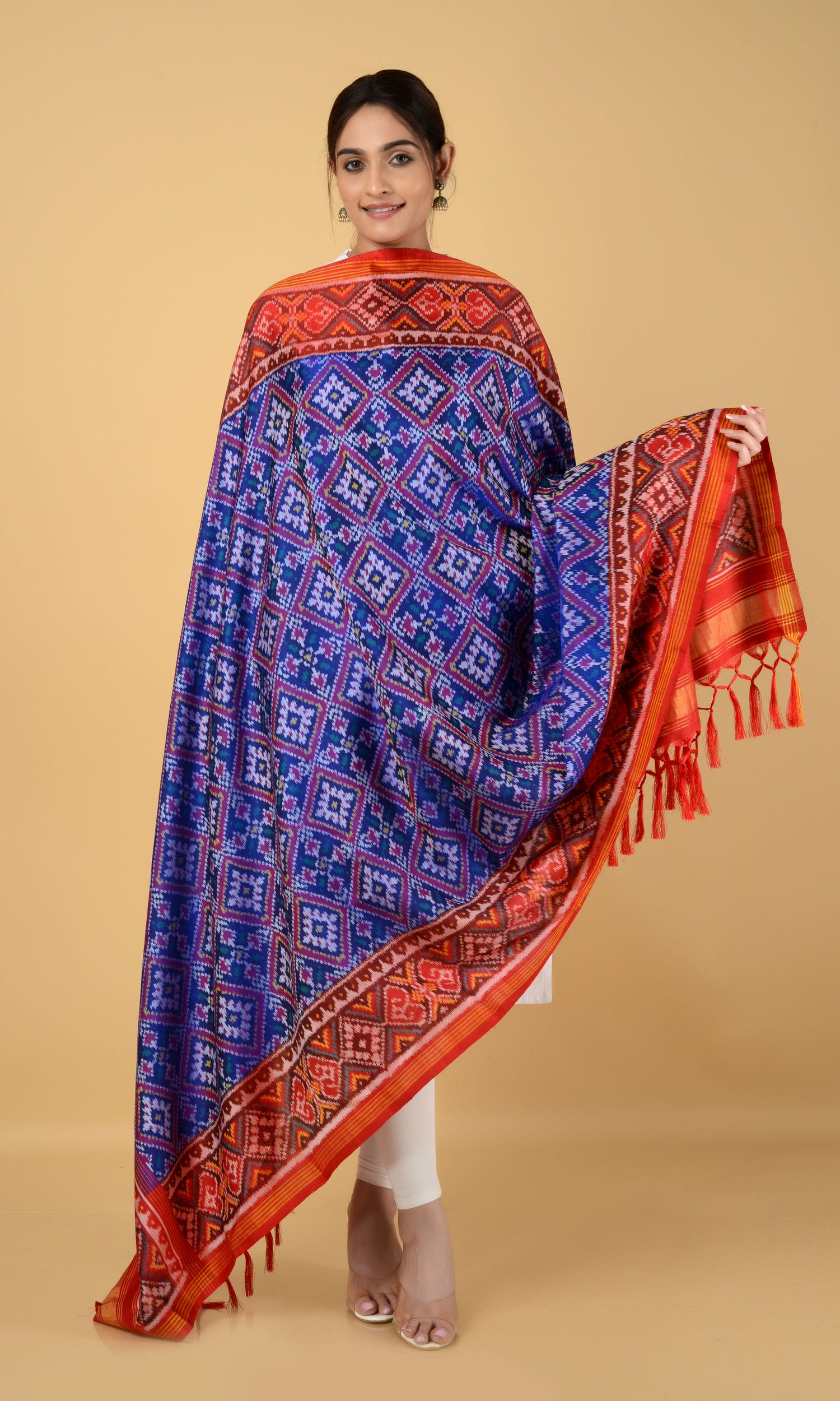 Single Ikat Patola Dupatta Chanda