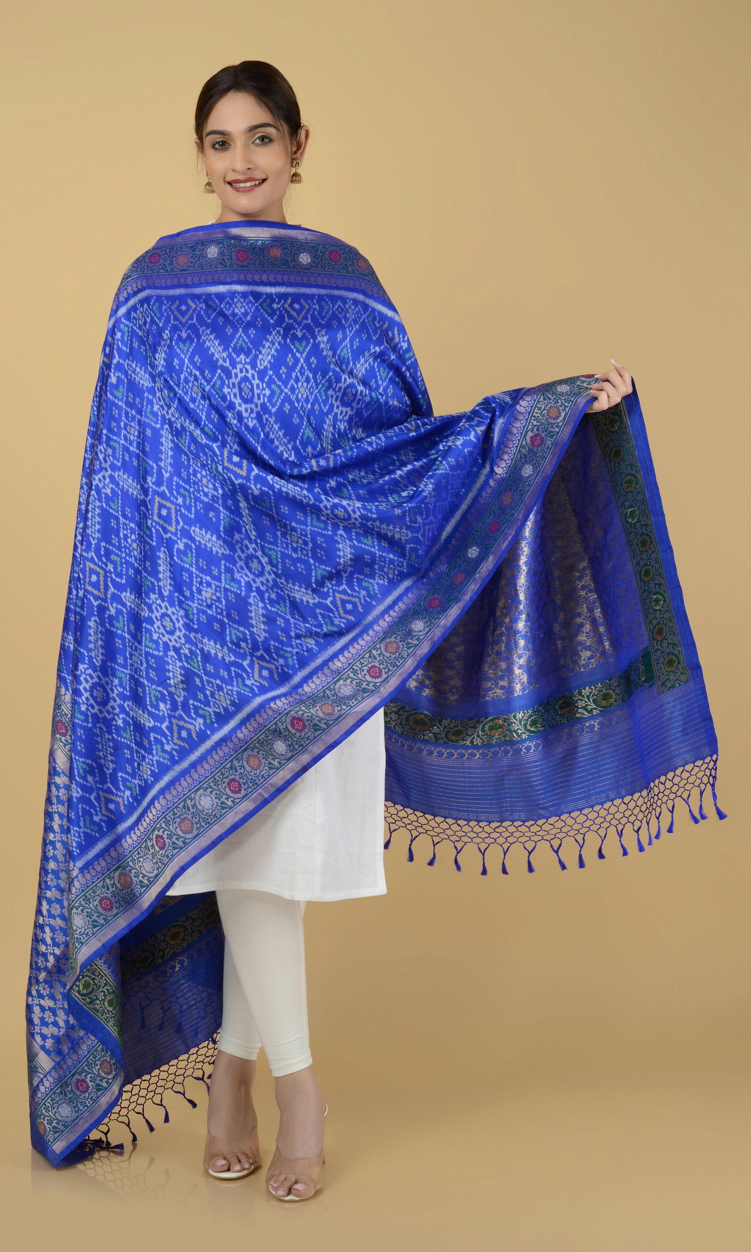 Banarasi Single Ikat Patola Dupatta Manekchowk