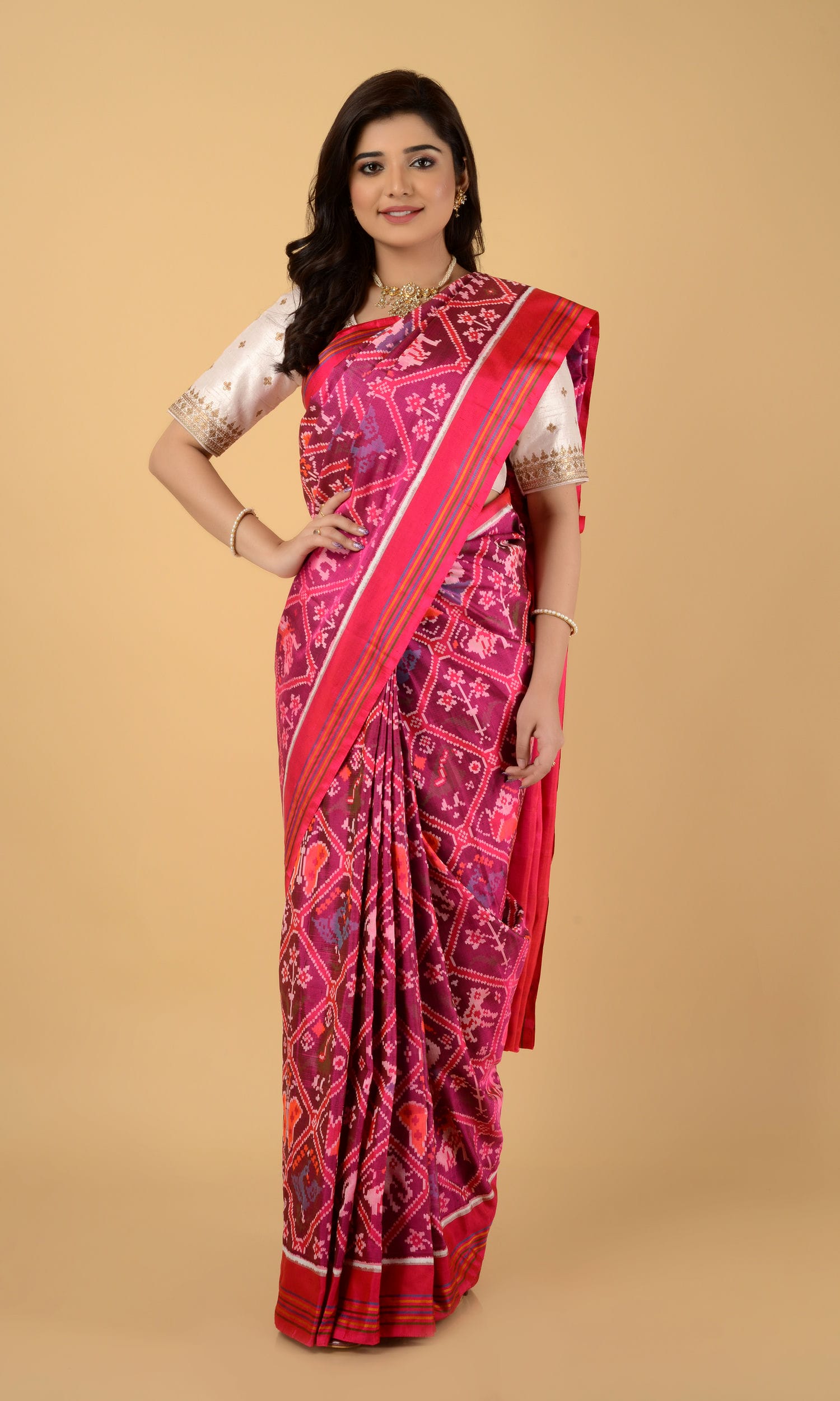 Single Ikat Patola Saree 9 Motifs