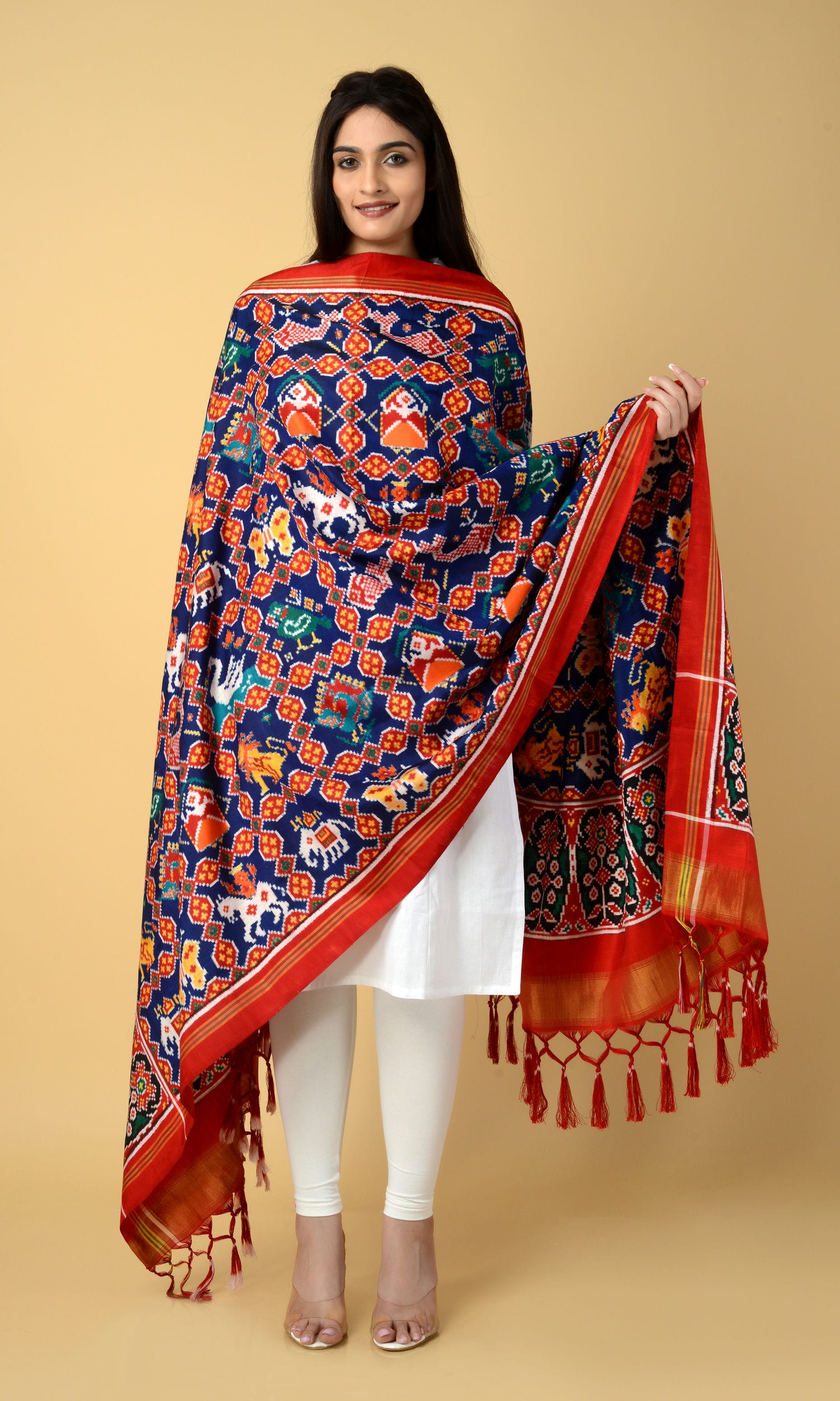 Double Ikat Patola 9 Motif Dupatta