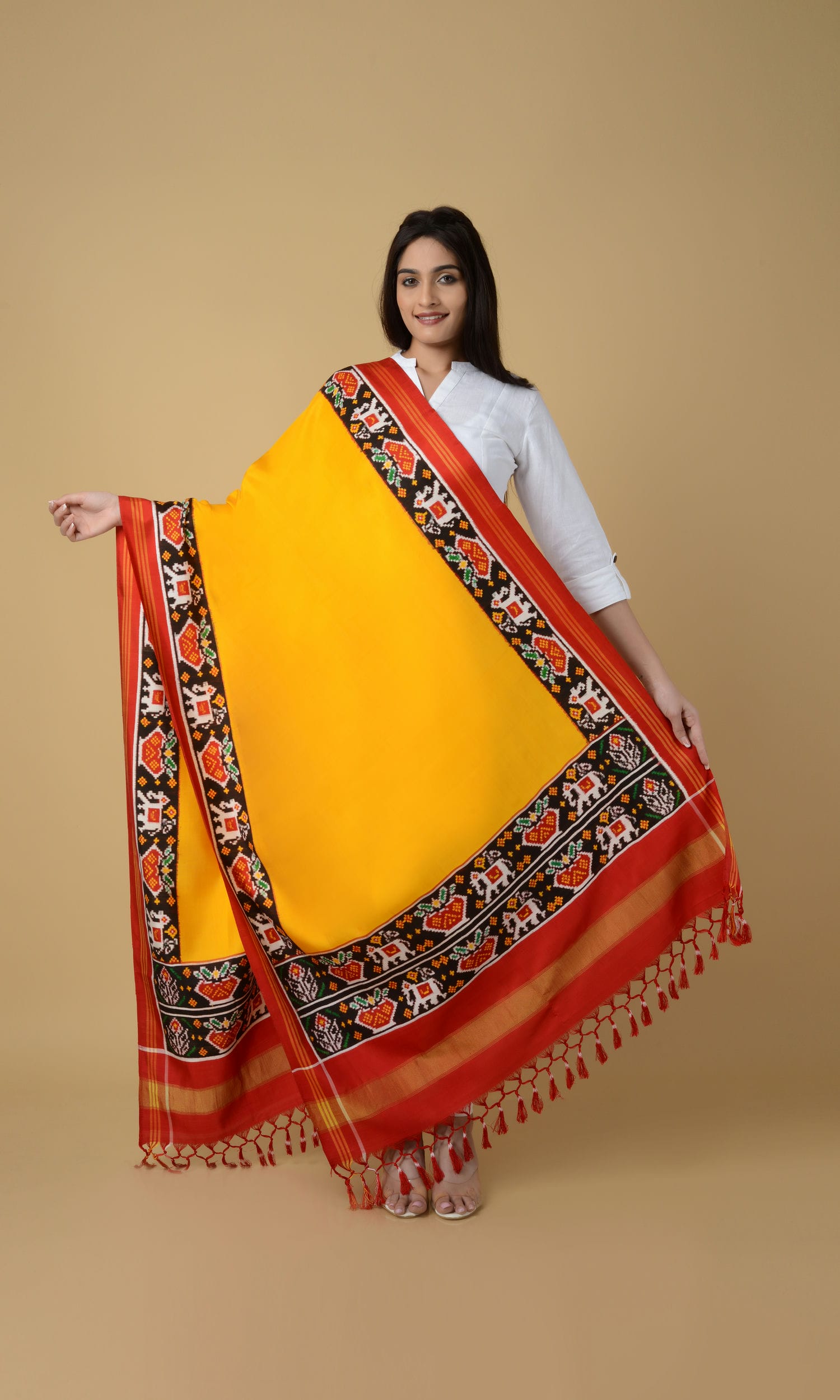 Double Ikat Patola Plain Gala Border Dupatta