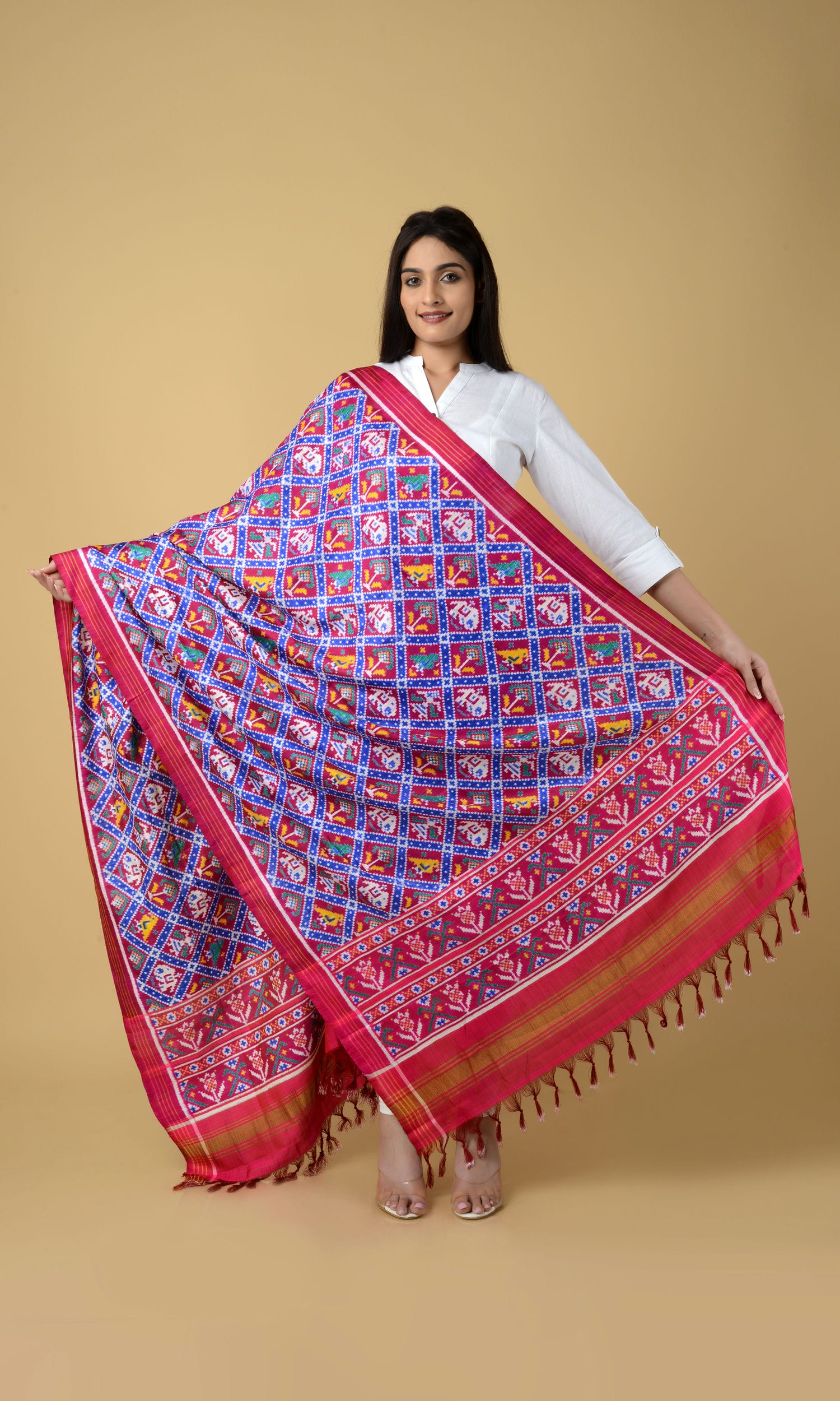 Double Ikat Patola Nari Kunj  Dupatta