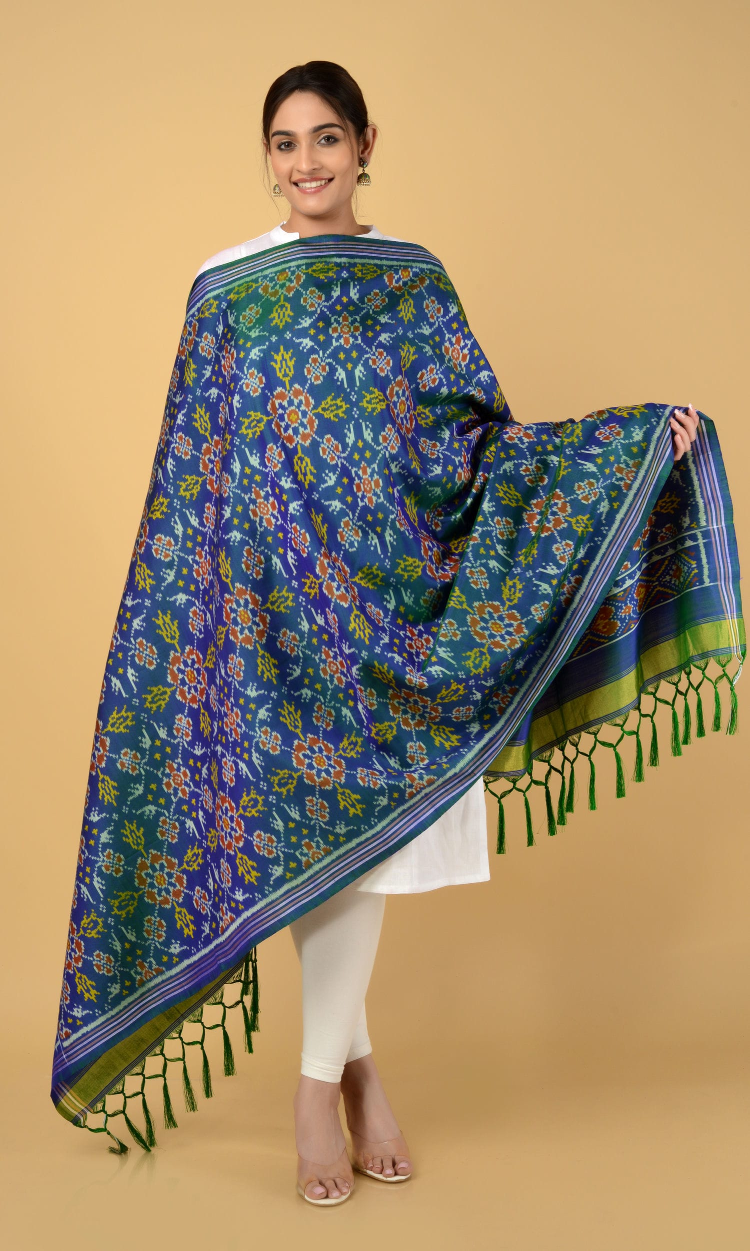 Single Ikat Patola Dupatta Chhabdi