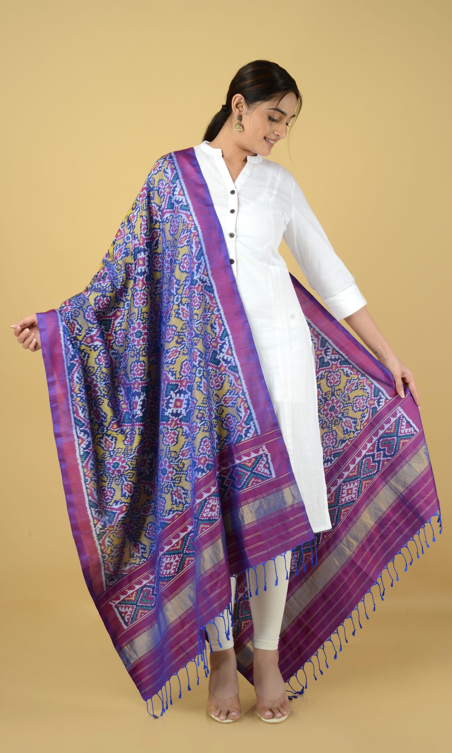Single Ikat Patola Dupatta Chhabdi