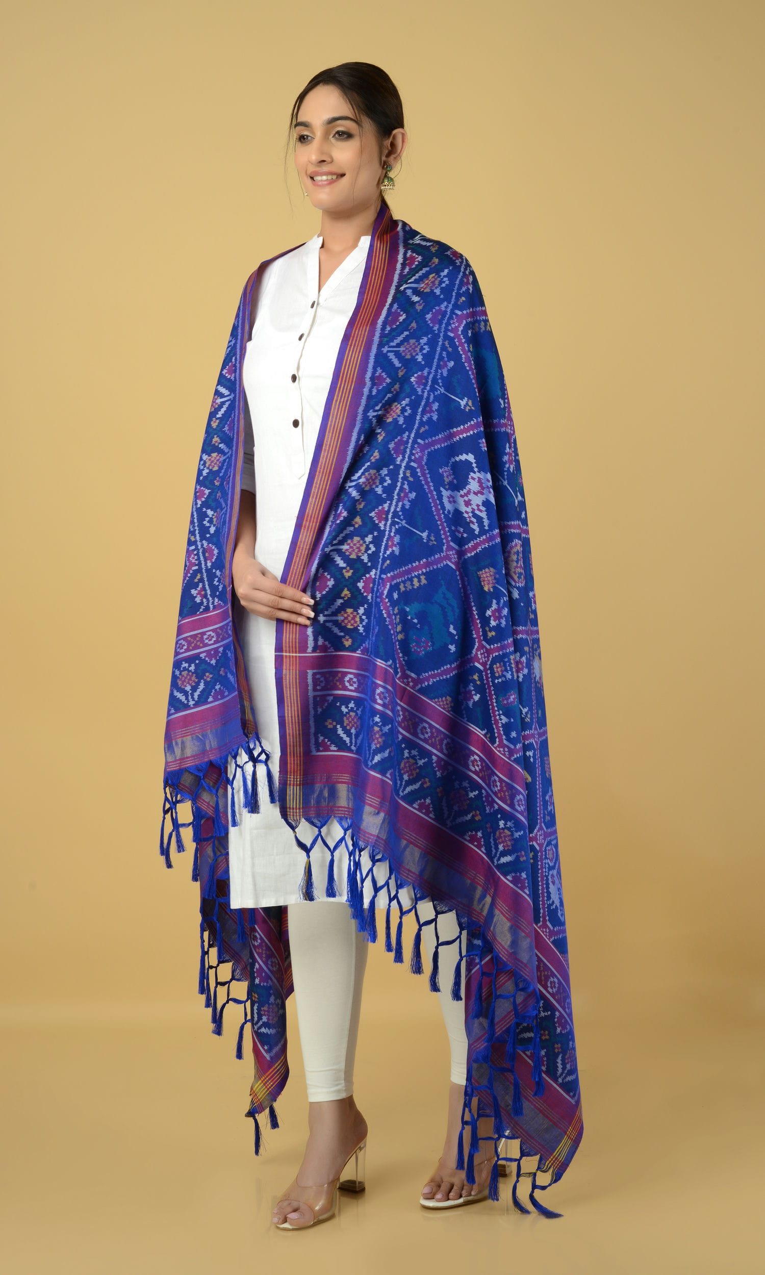 Single Ikat Patola Dupatta 9 Motifs