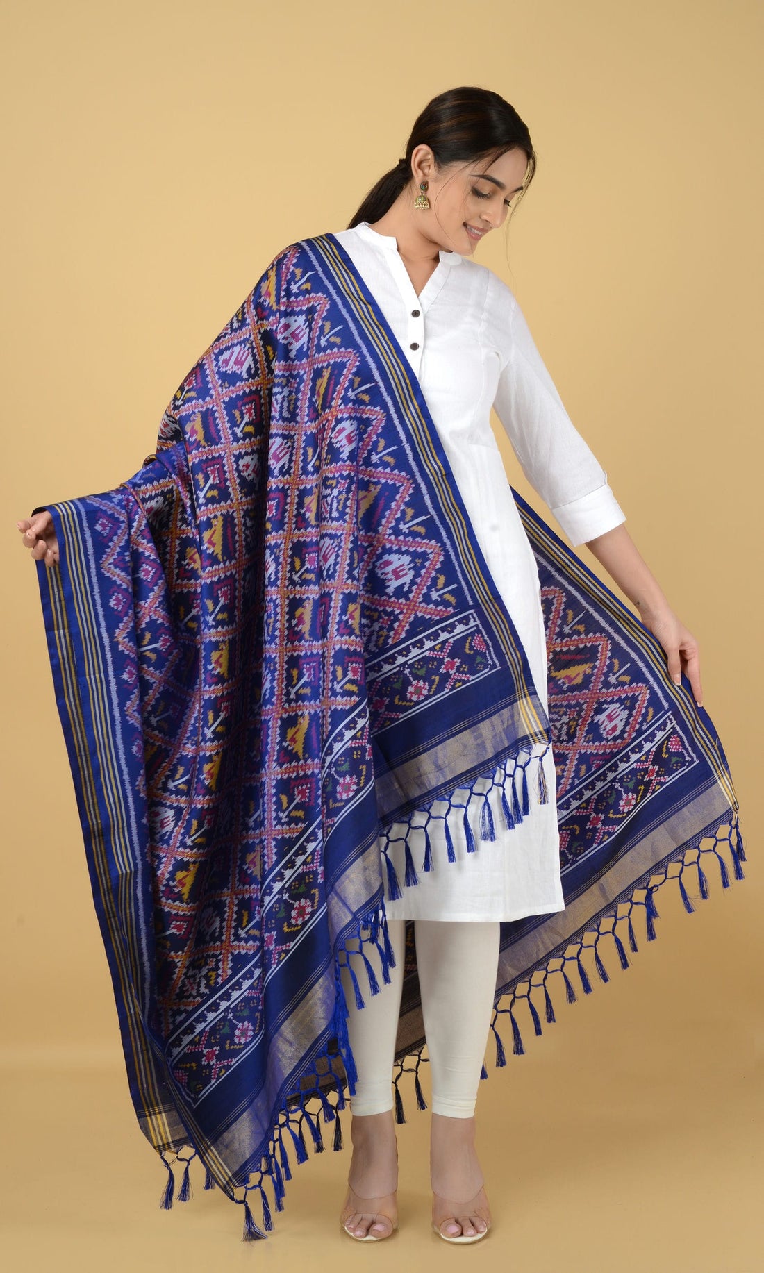 Single Ikat Patola Dupatta Nari Kunj