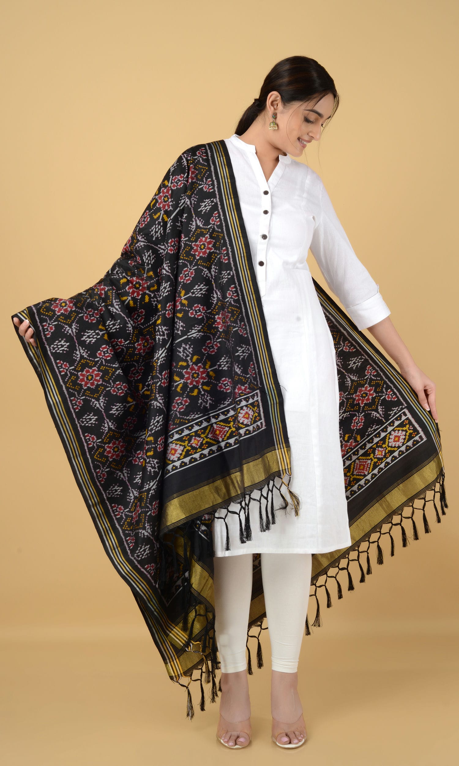 Single Ikat Patola Dupatta Chhabdi