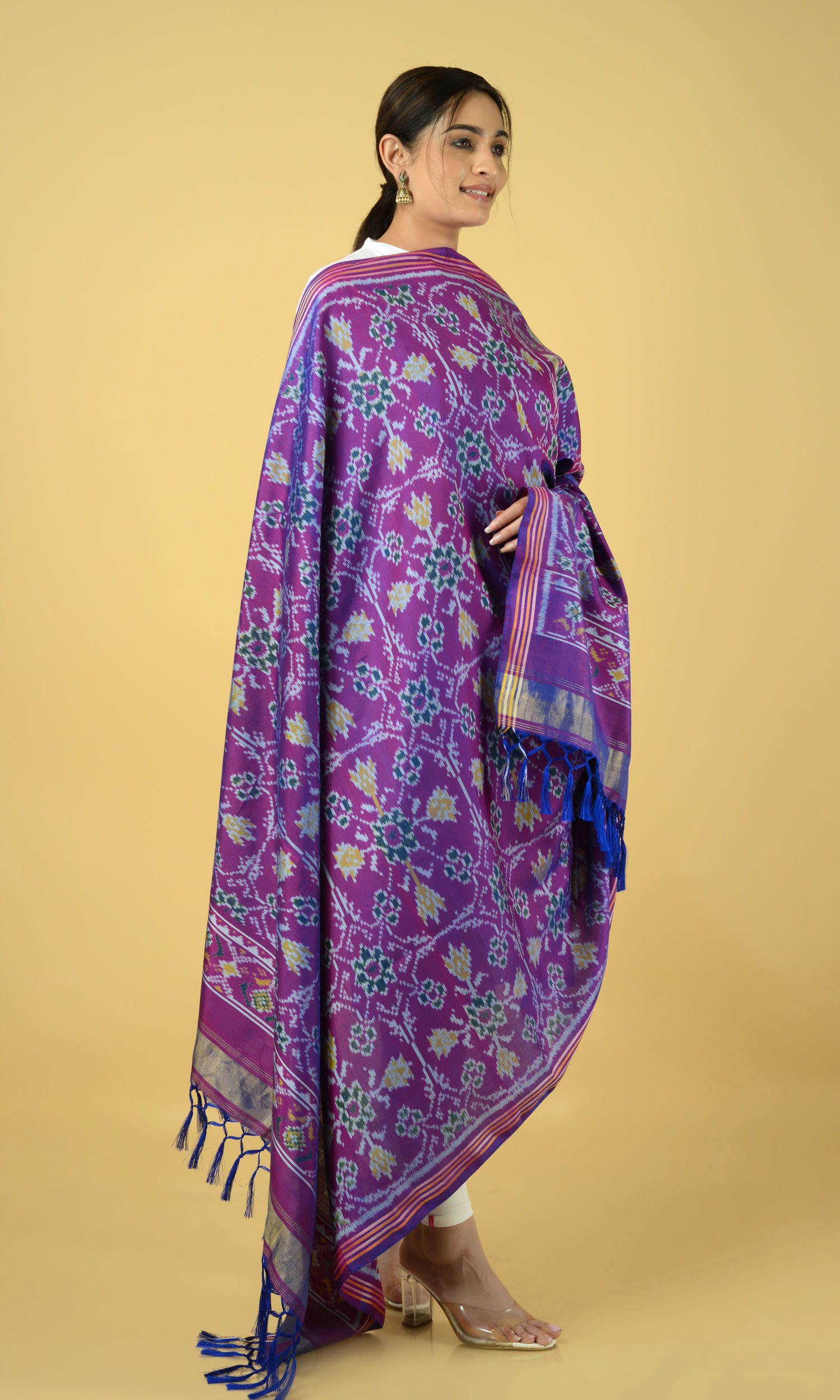 Single Ikat Patola Dupatta Chhabdi