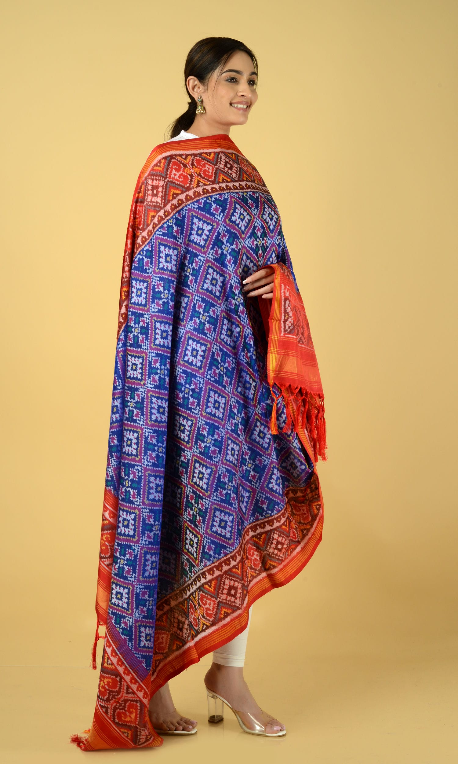 Single Ikat Patola Dupatta Chanda