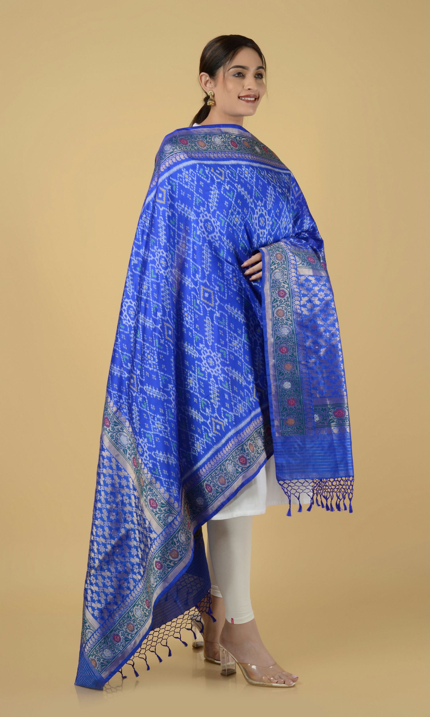 Banarasi Single Ikat Patola Dupatta Manekchowk