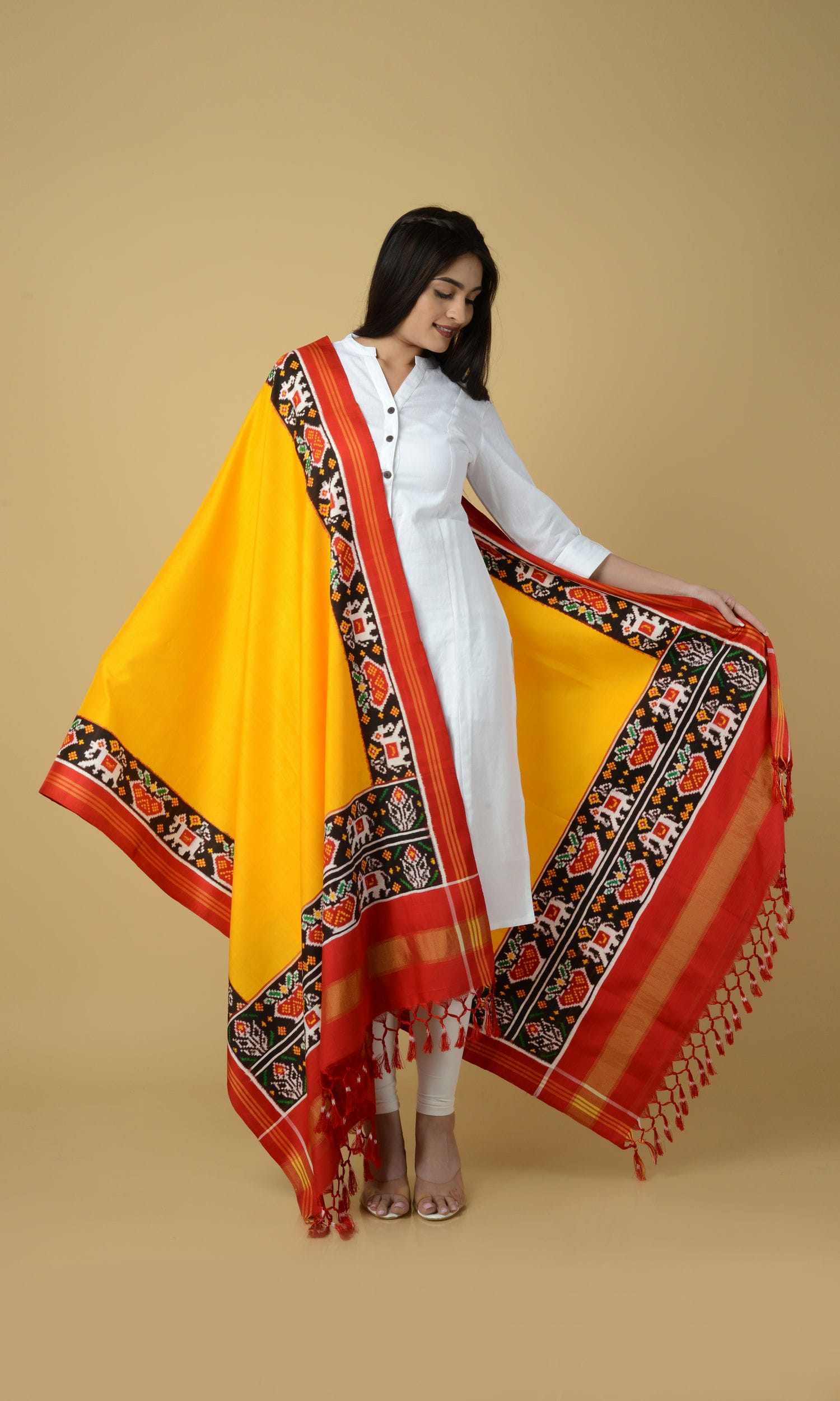 Double Ikat Patola Plain Gala Border Dupatta