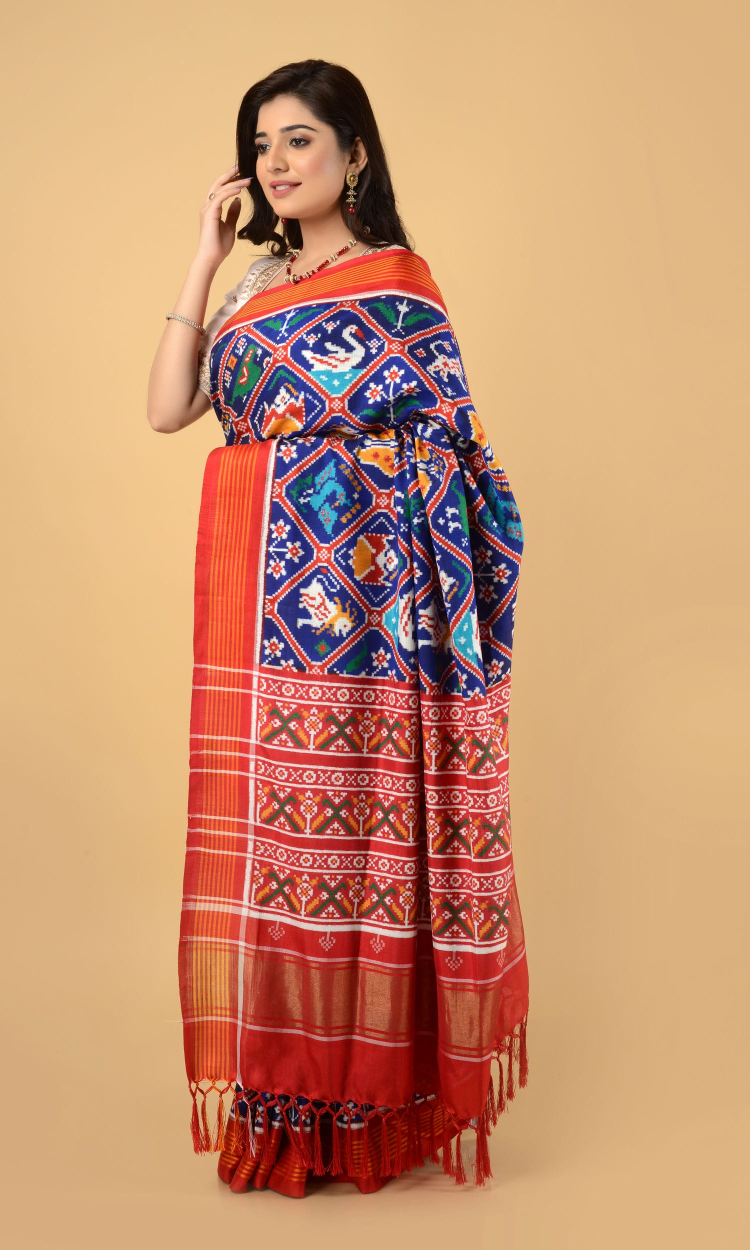 Double Ikat Patola Saree 9 Motifs