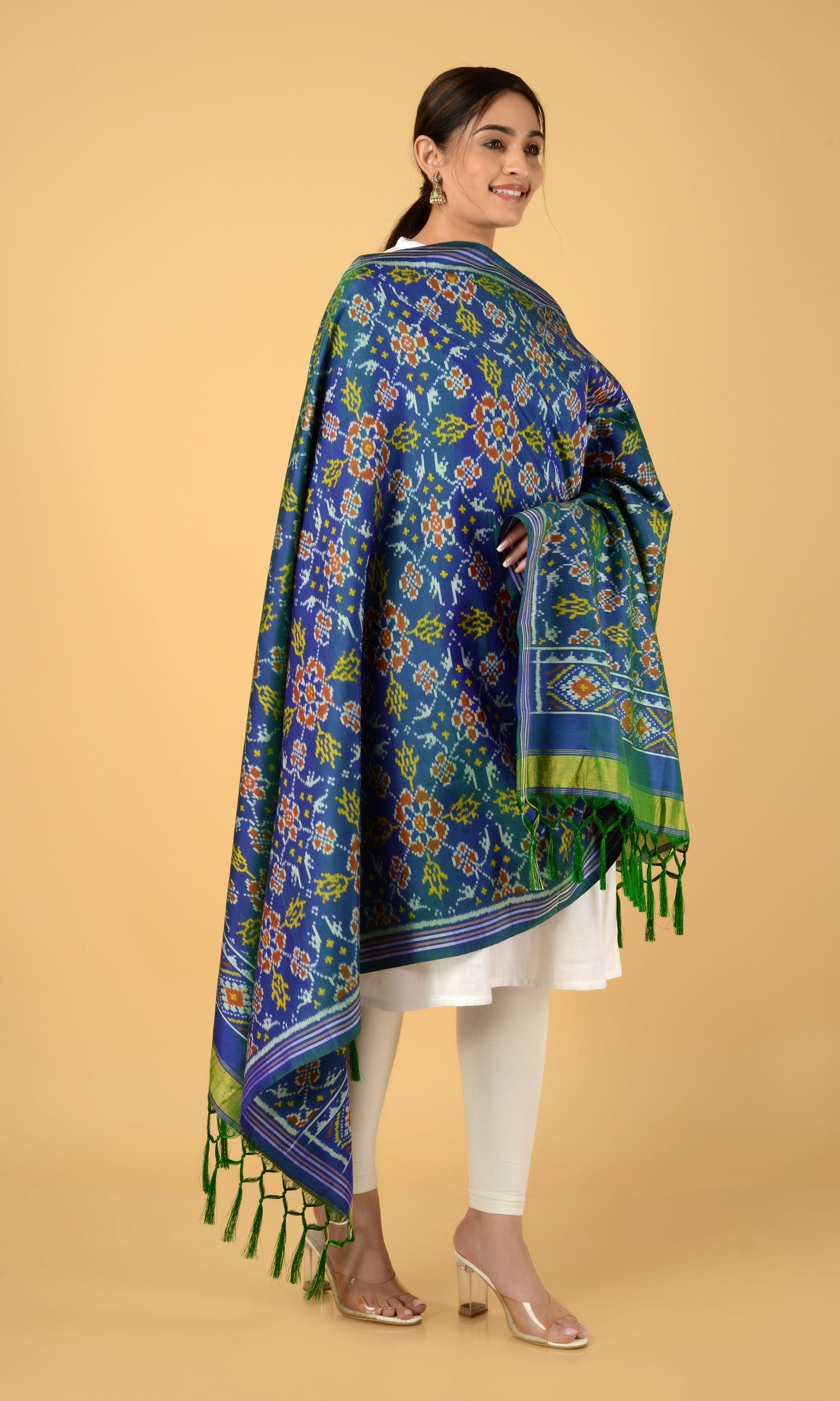 Single Ikat Patola Dupatta Chhabdi