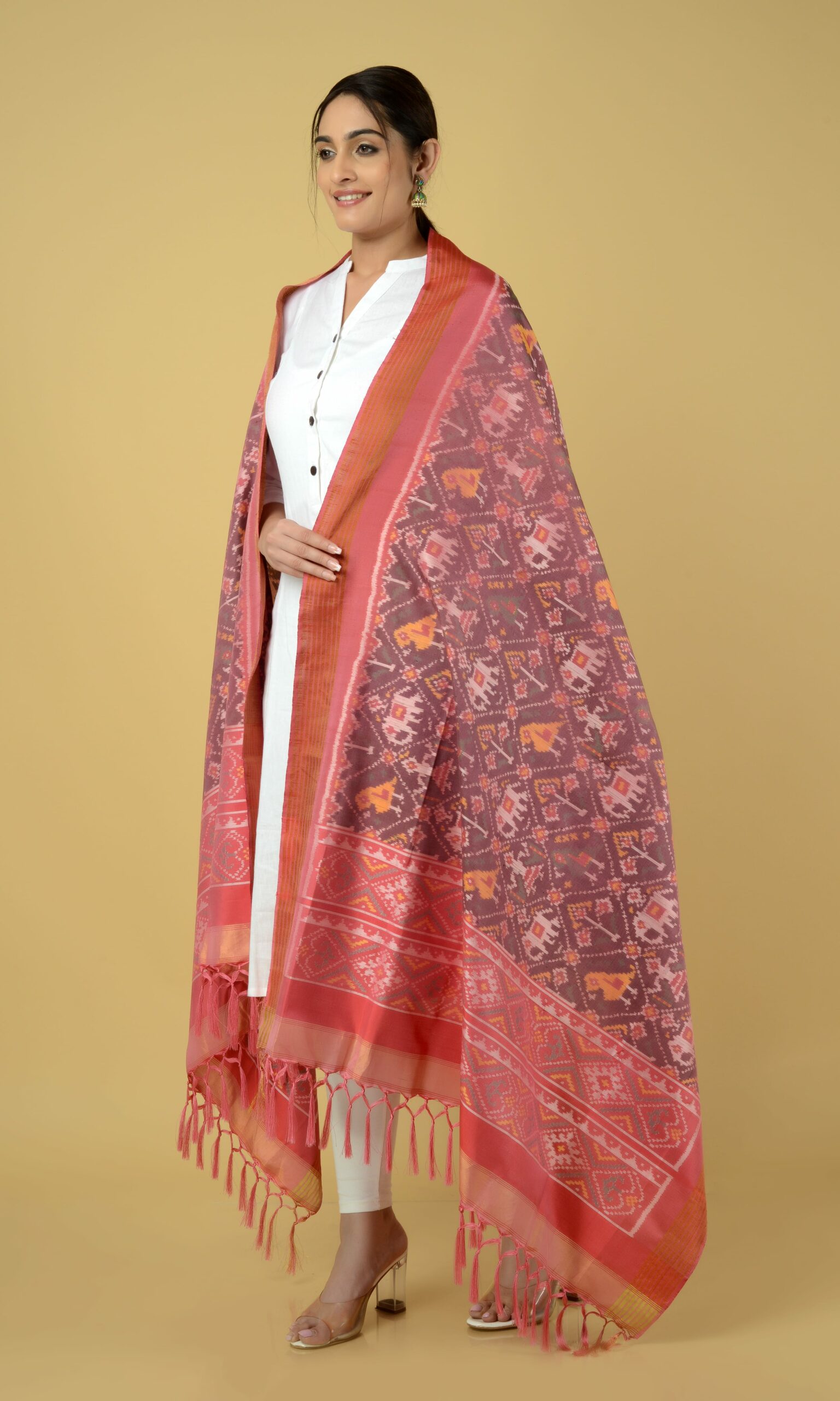 Single Ikat Patola Dupatta Nari Kunj
