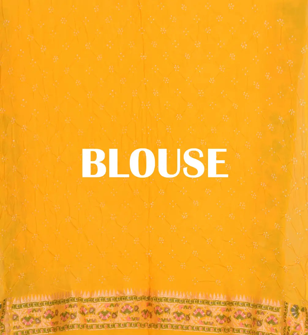 Banarasi Weave Parsi Jaal Bandhani Saree
