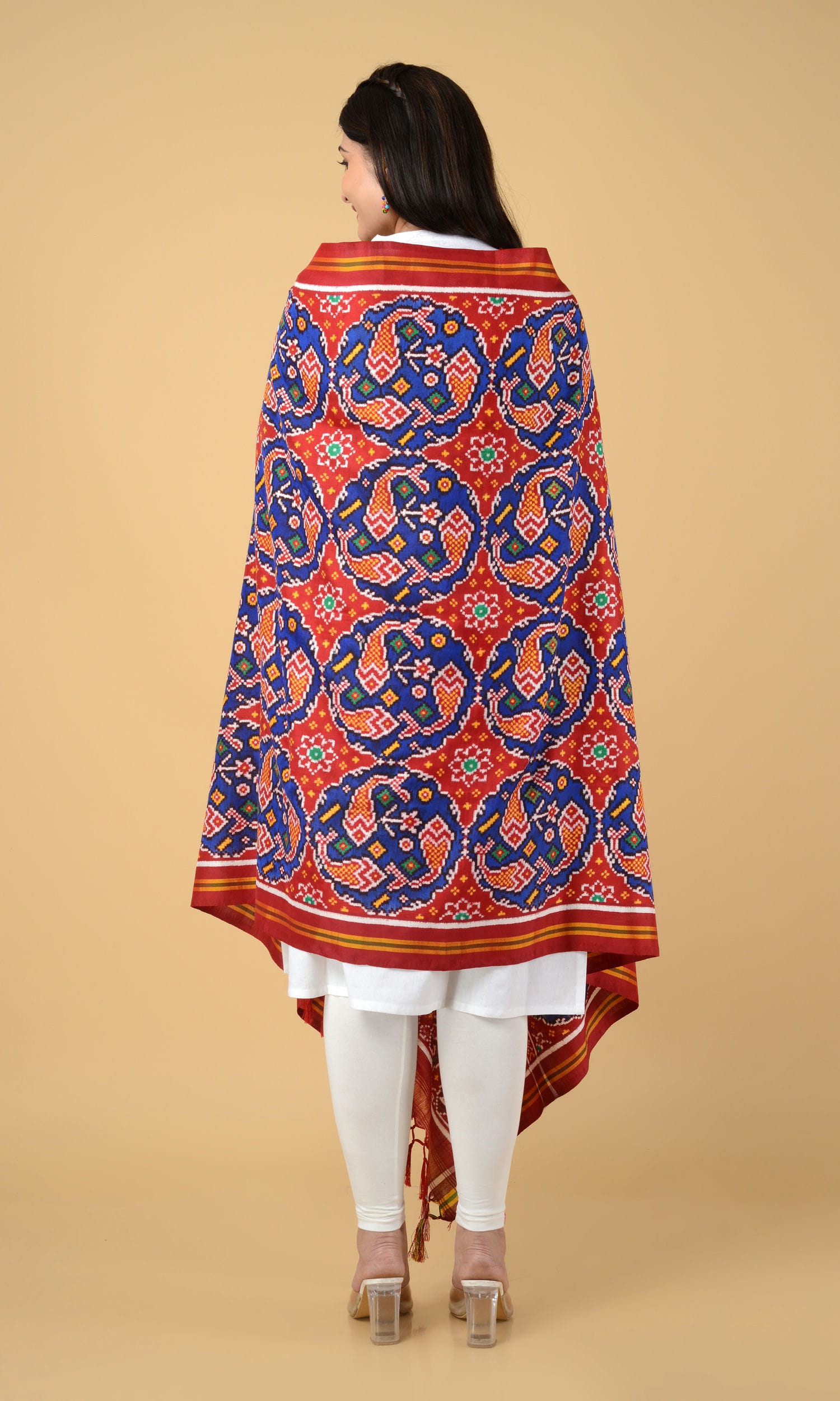 Double Ikat Patola Dupatta Fish Chhabdi