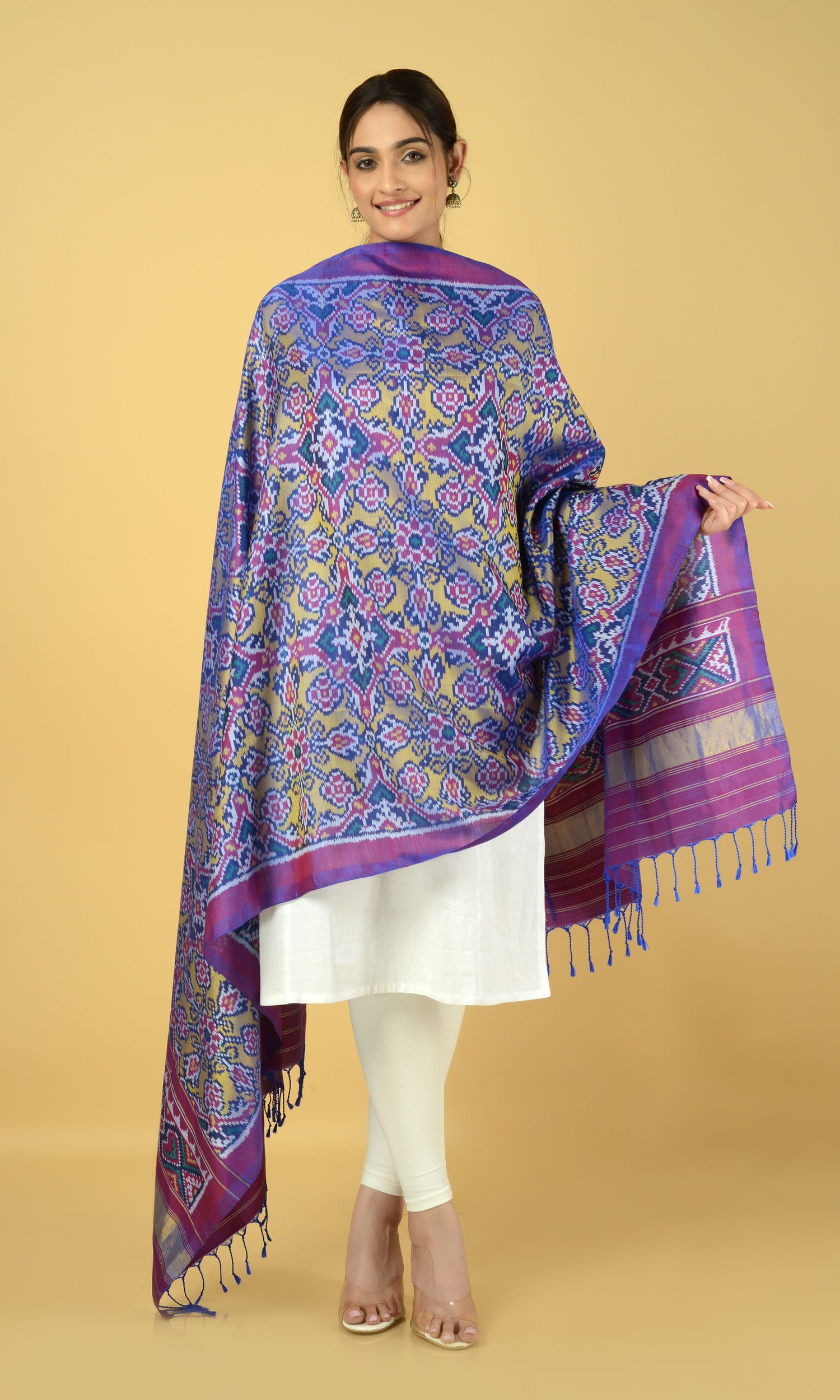Single Ikat Patola Dupatta Chhabdi