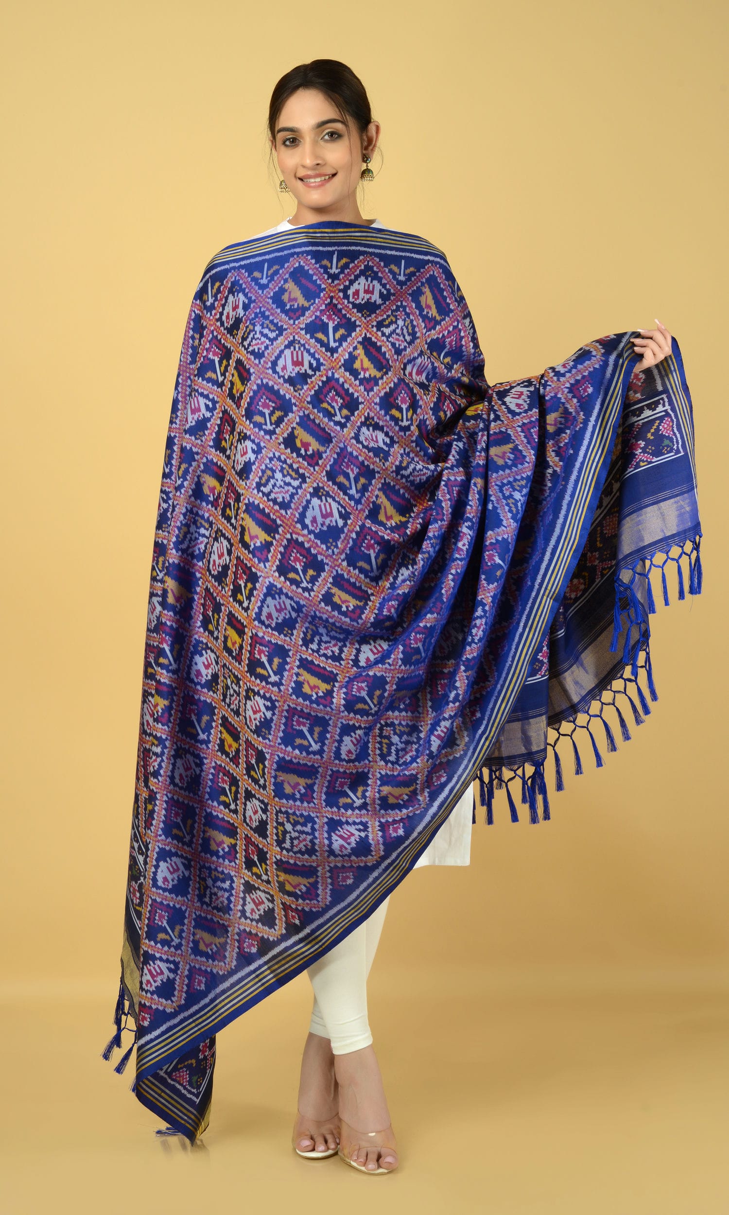 Single Ikat Patola Dupatta Nari Kunj