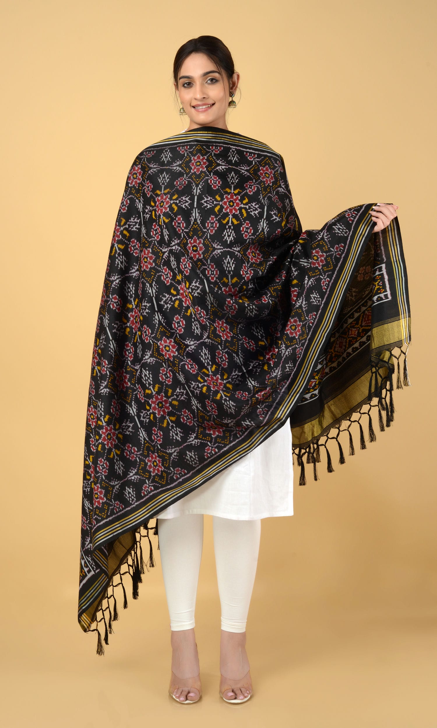 Single Ikat Patola Dupatta Chhabdi