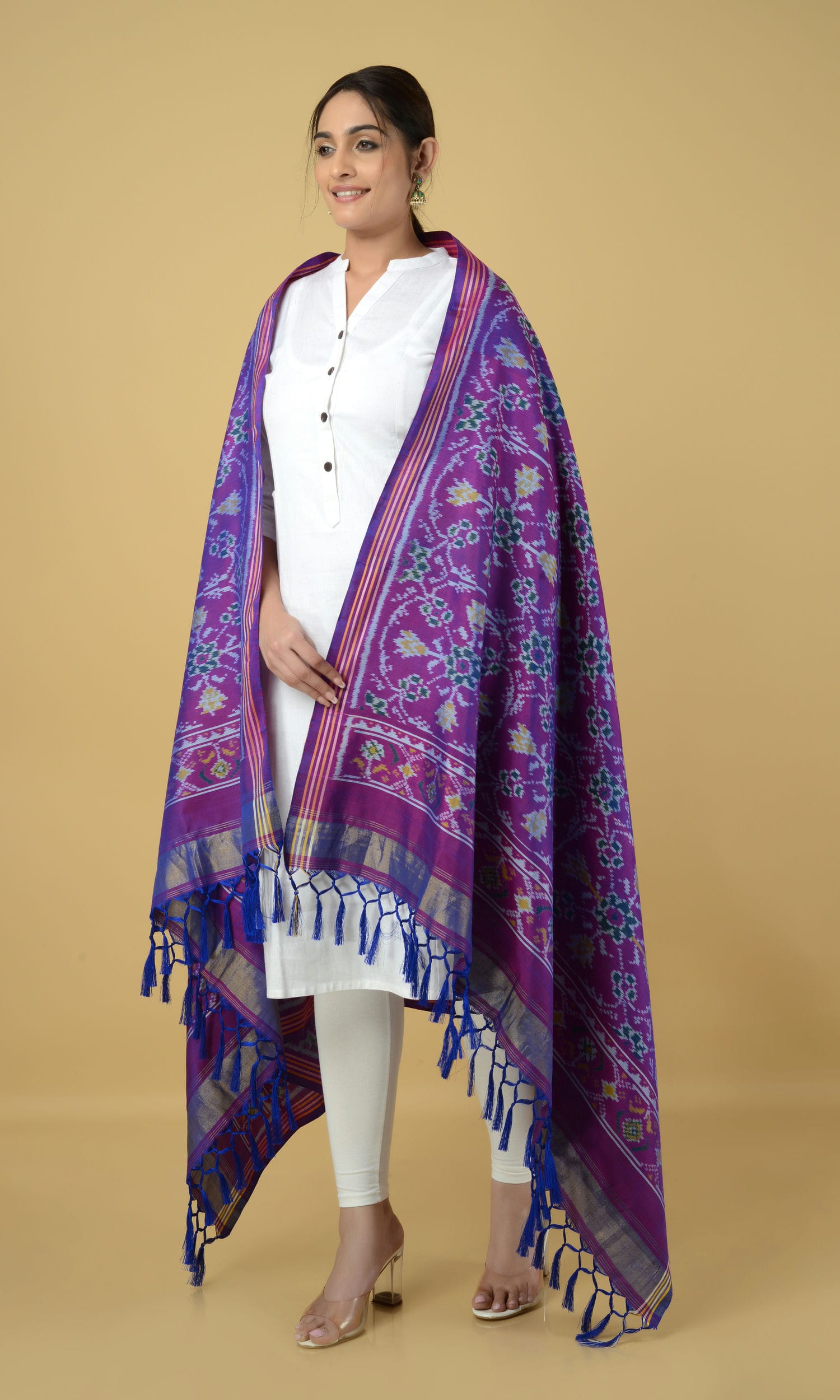 Single Ikat Patola Dupatta Chhabdi