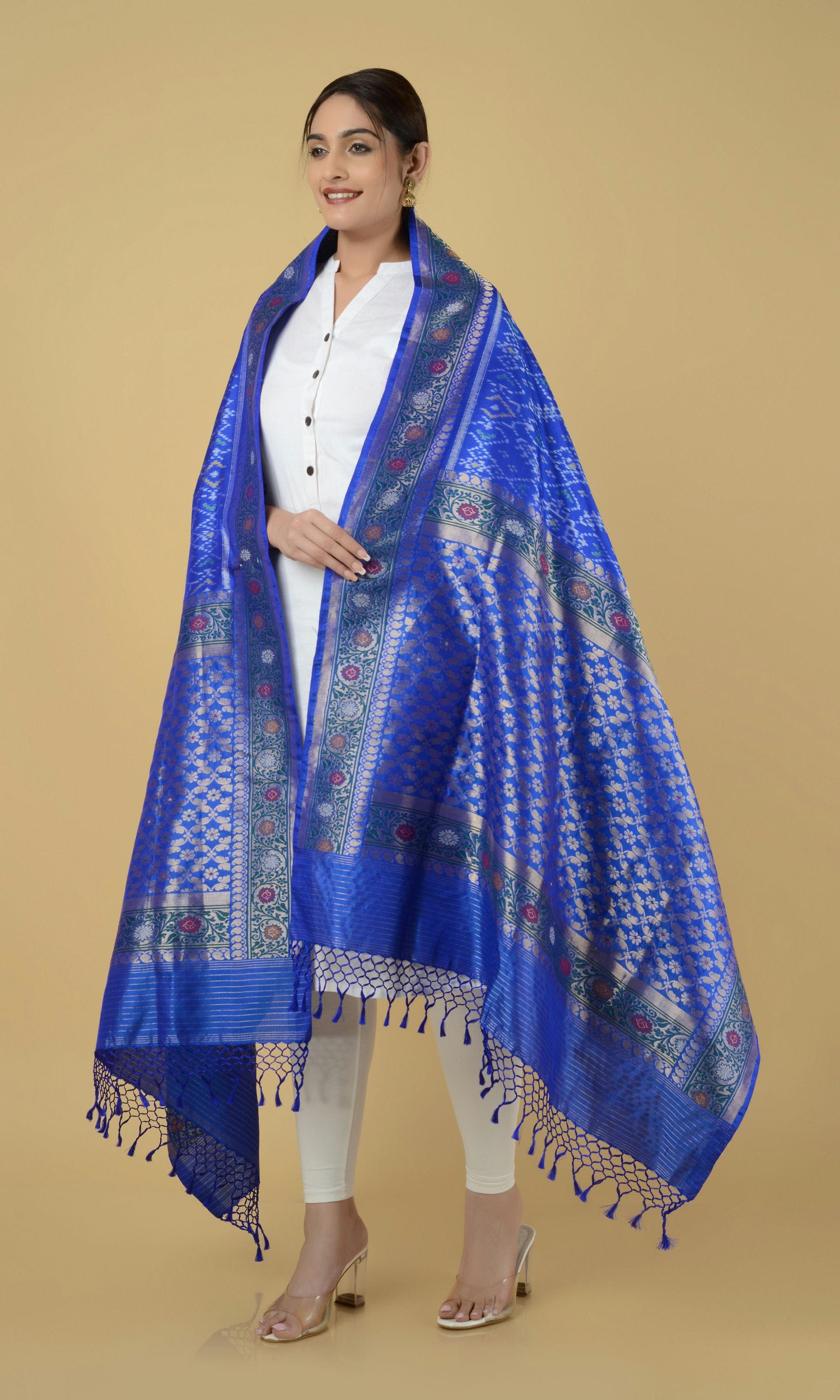Banarasi Single Ikat Patola Dupatta Manekchowk