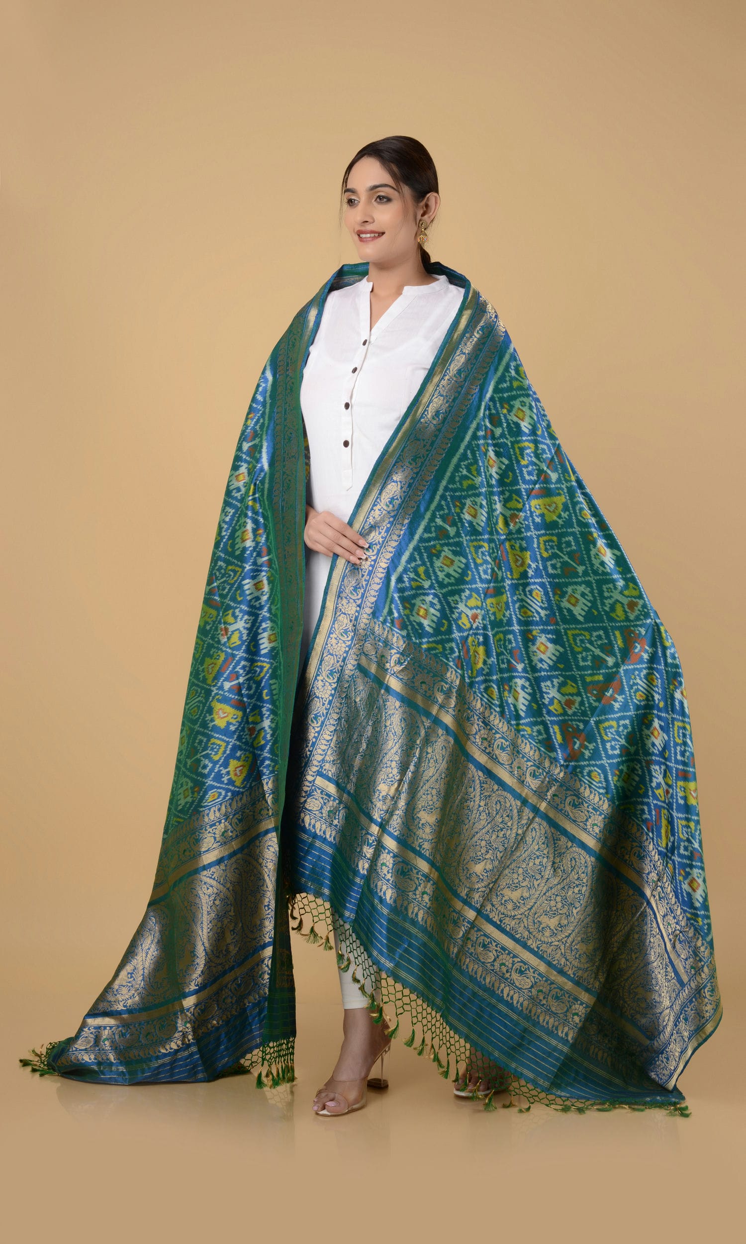 Banarasi Single Ikat Patola Dupatta Nari Kunj