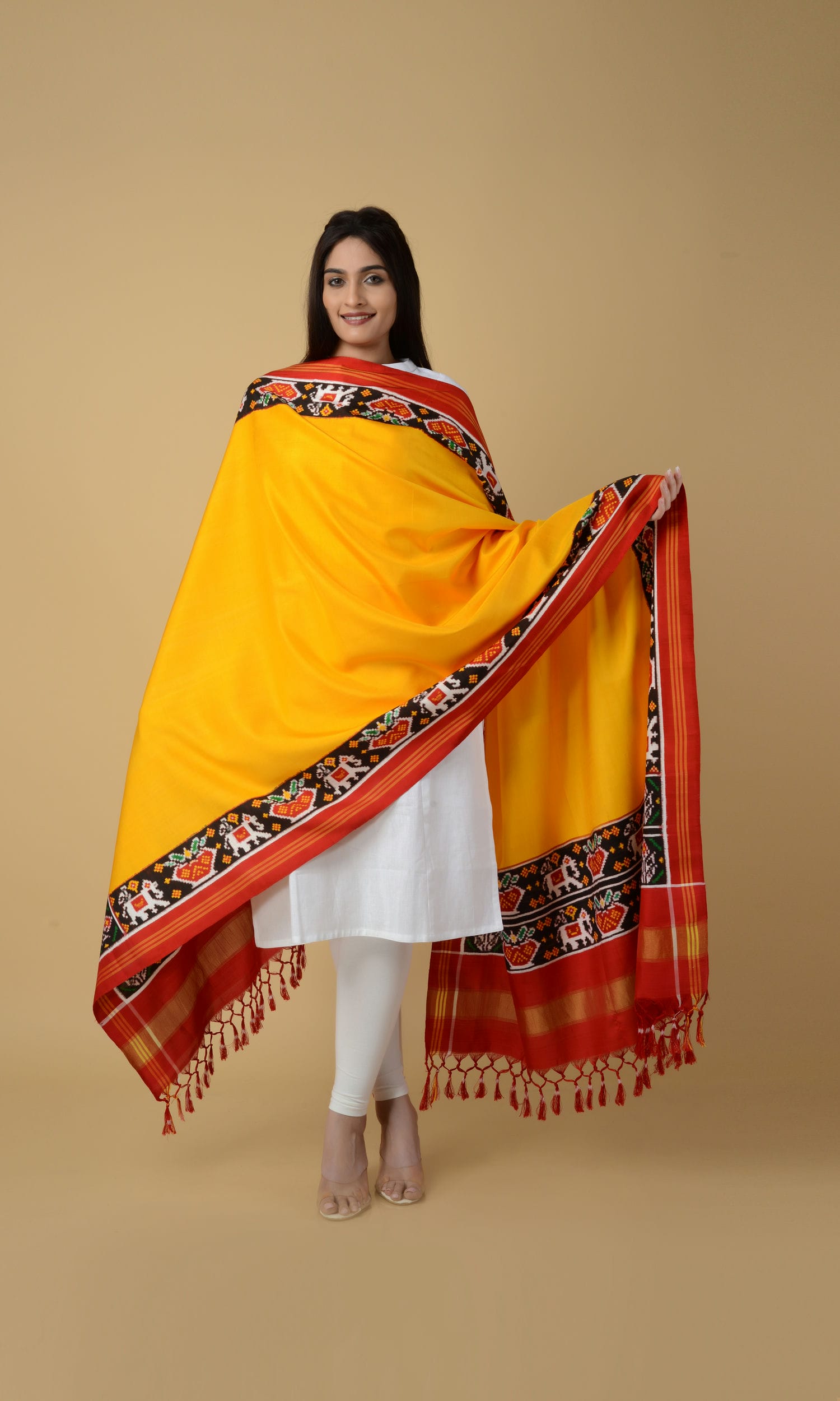 Double Ikat Patola Plain Gala Border Dupatta