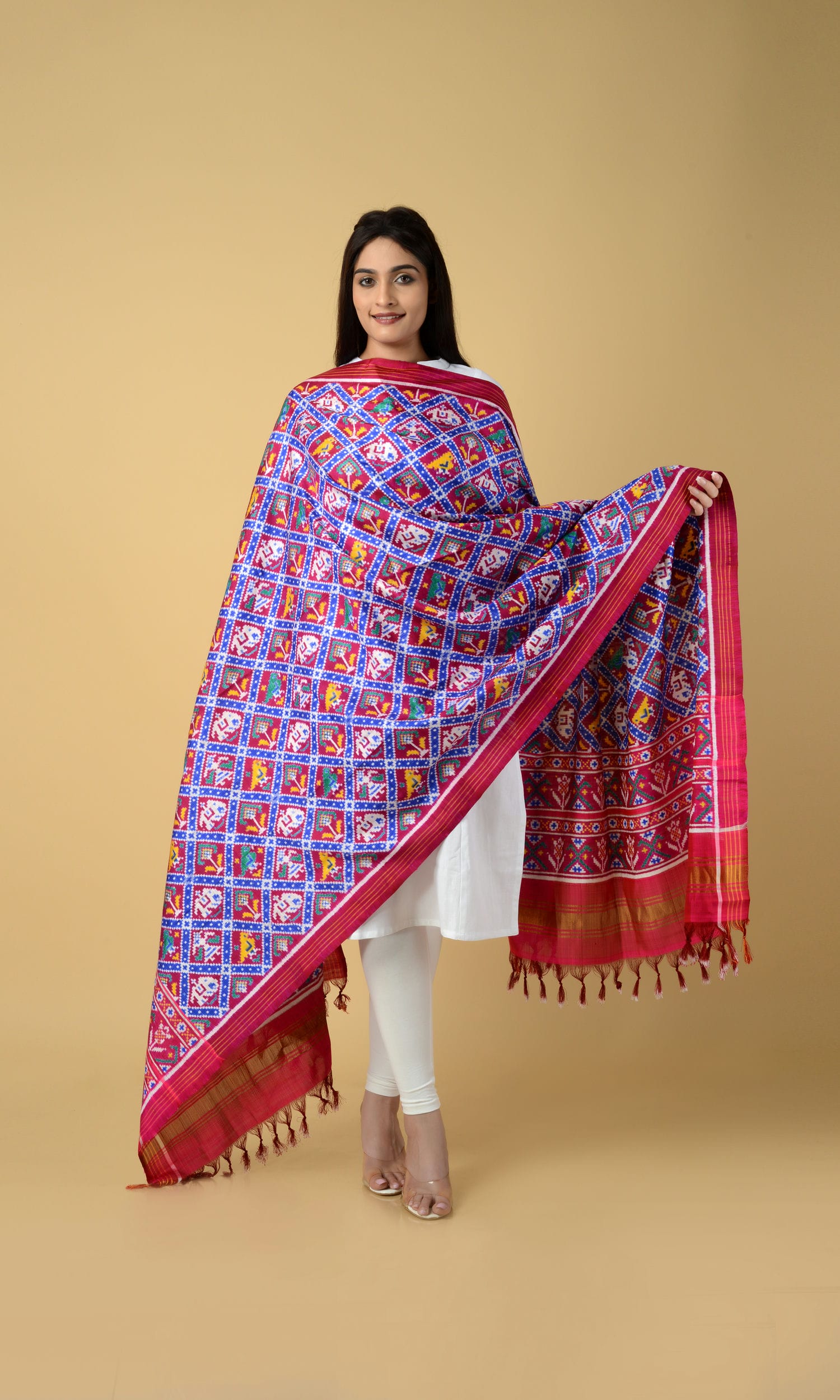 Double Ikat Patola Nari Kunj  Dupatta