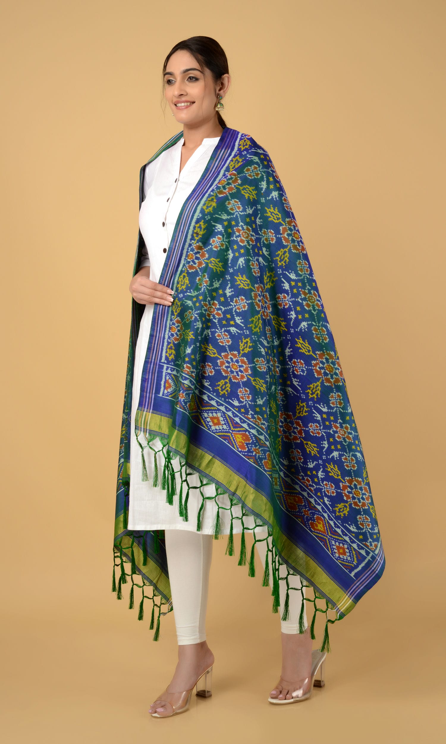 Single Ikat Patola Dupatta Chhabdi