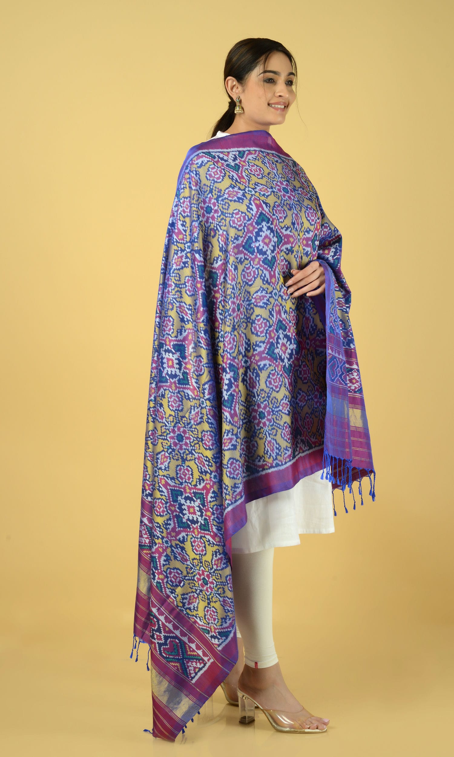 Single Ikat Patola Dupatta Chhabdi