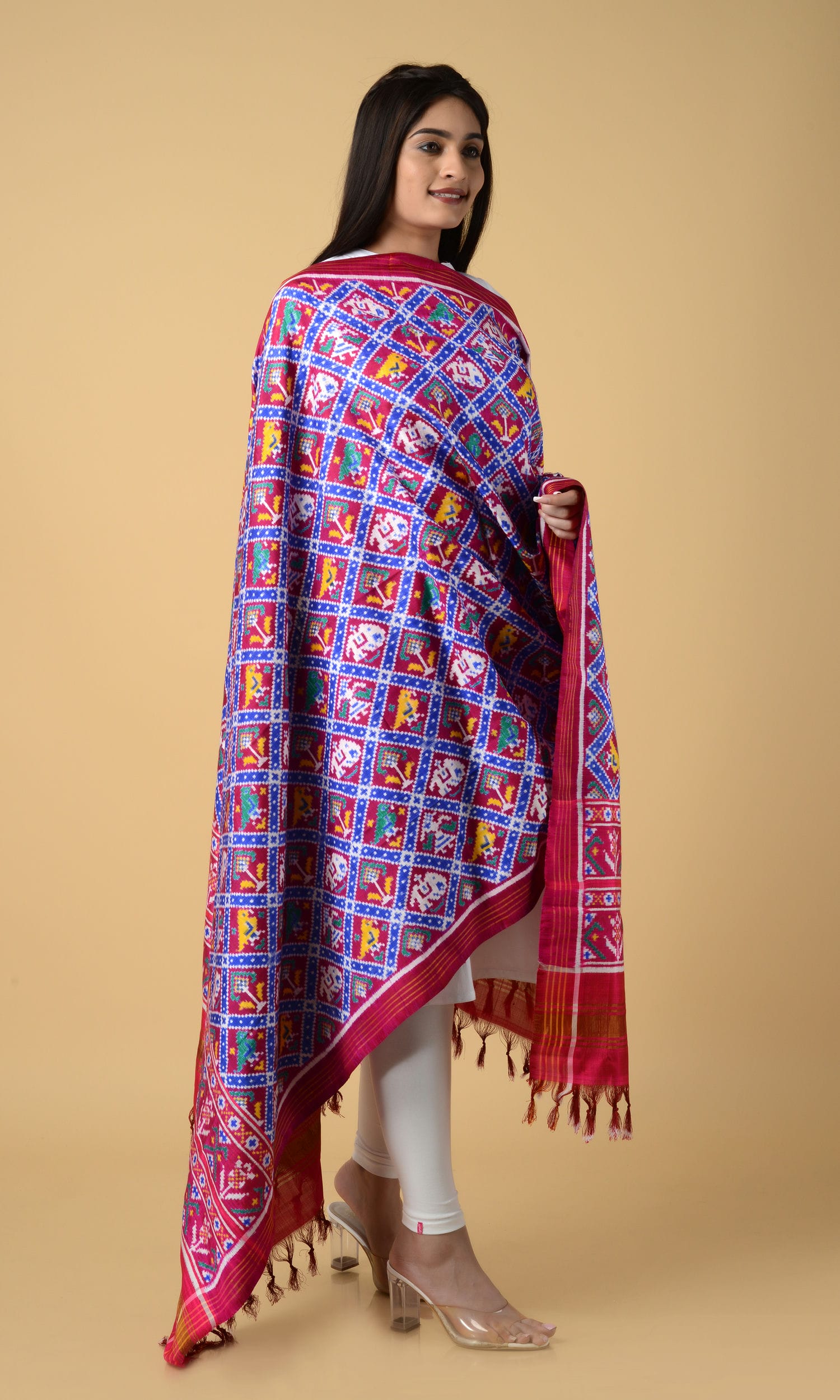 Double Ikat Patola Nari Kunj  Dupatta
