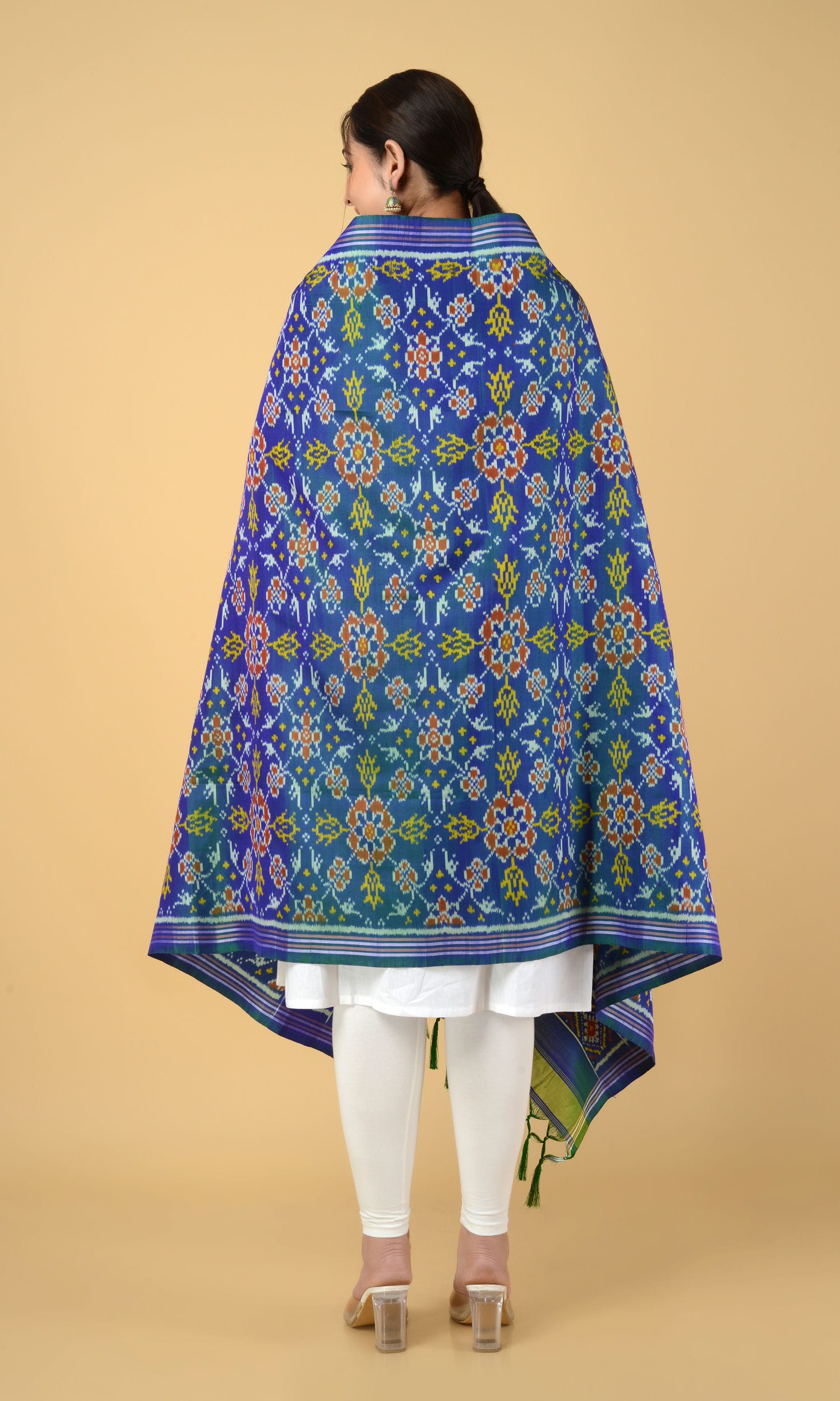 Single Ikat Patola Dupatta Chhabdi