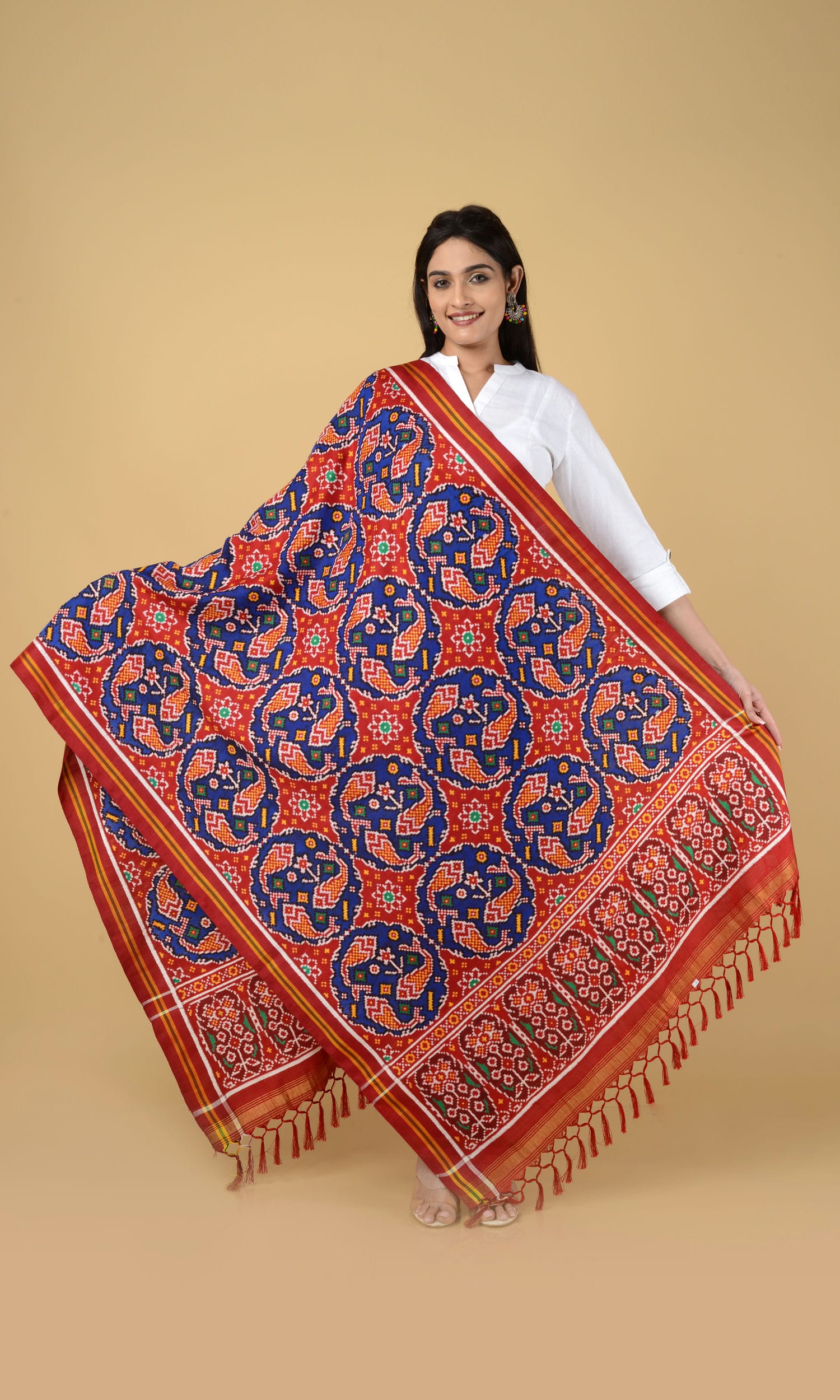 Double Ikat Patola Dupatta Fish Chhabdi