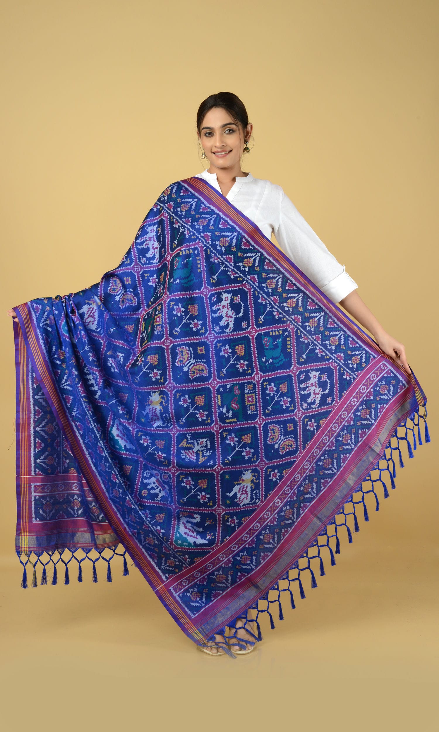 Single Ikat Patola Dupatta 9 Motifs