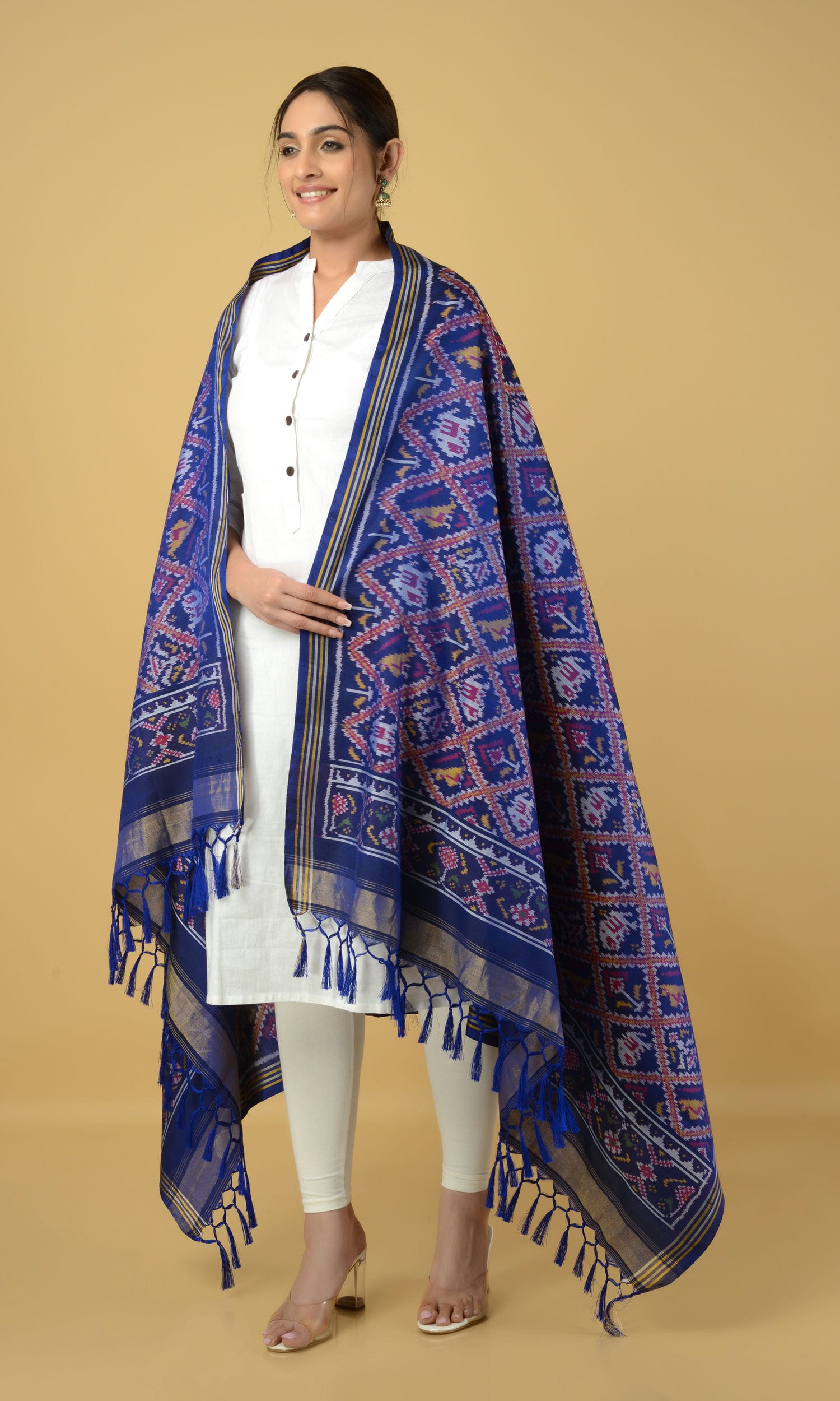 Single Ikat Patola Dupatta Nari Kunj