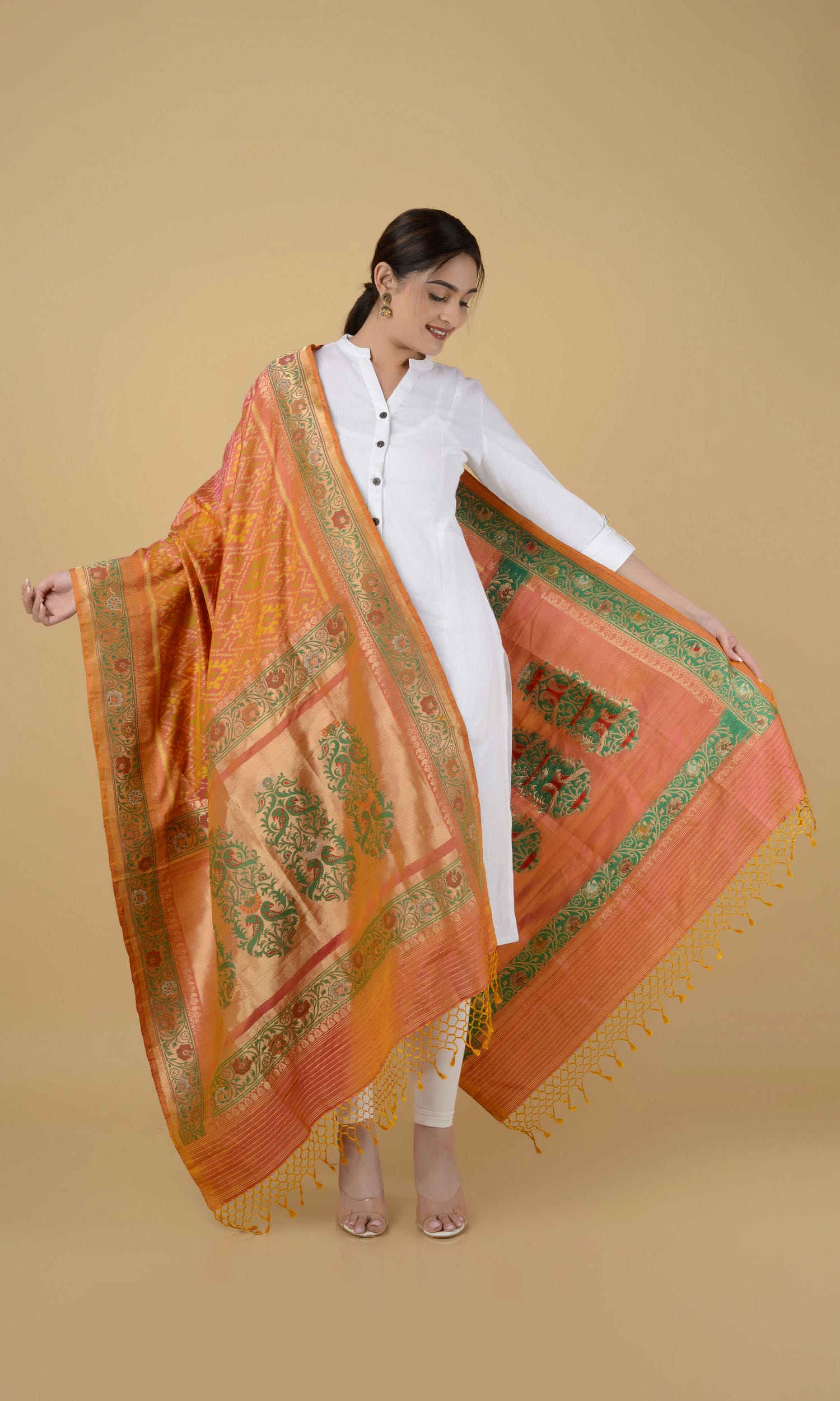 Banarasi Single Ikat Patola Dupatta Chanda