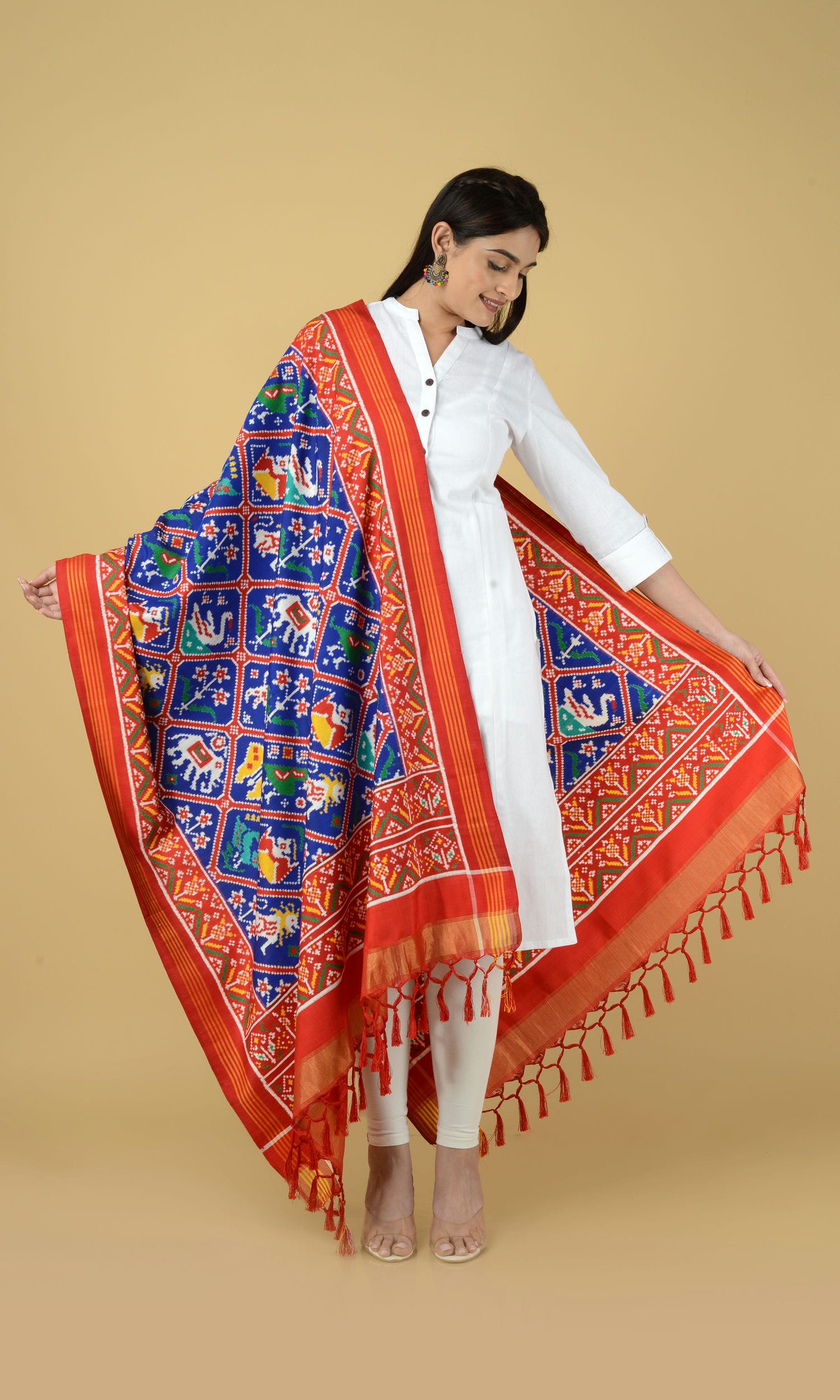 Double Ikat Patola Dupatta 9 Motifs