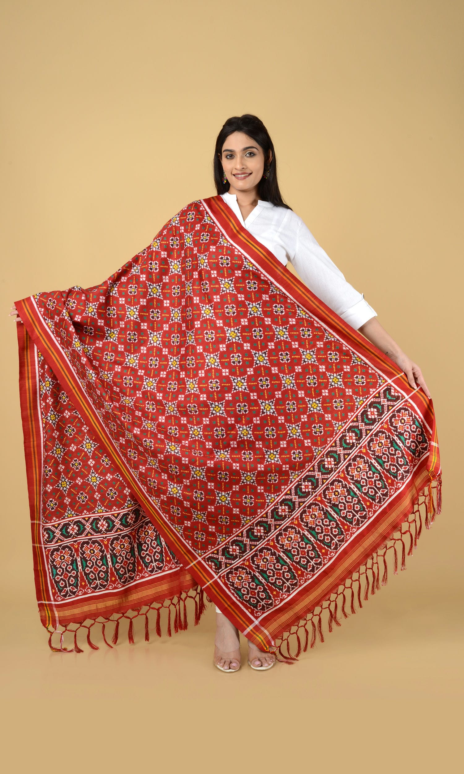 Double Ikat Patola Dupatta Chanda Chhabdi