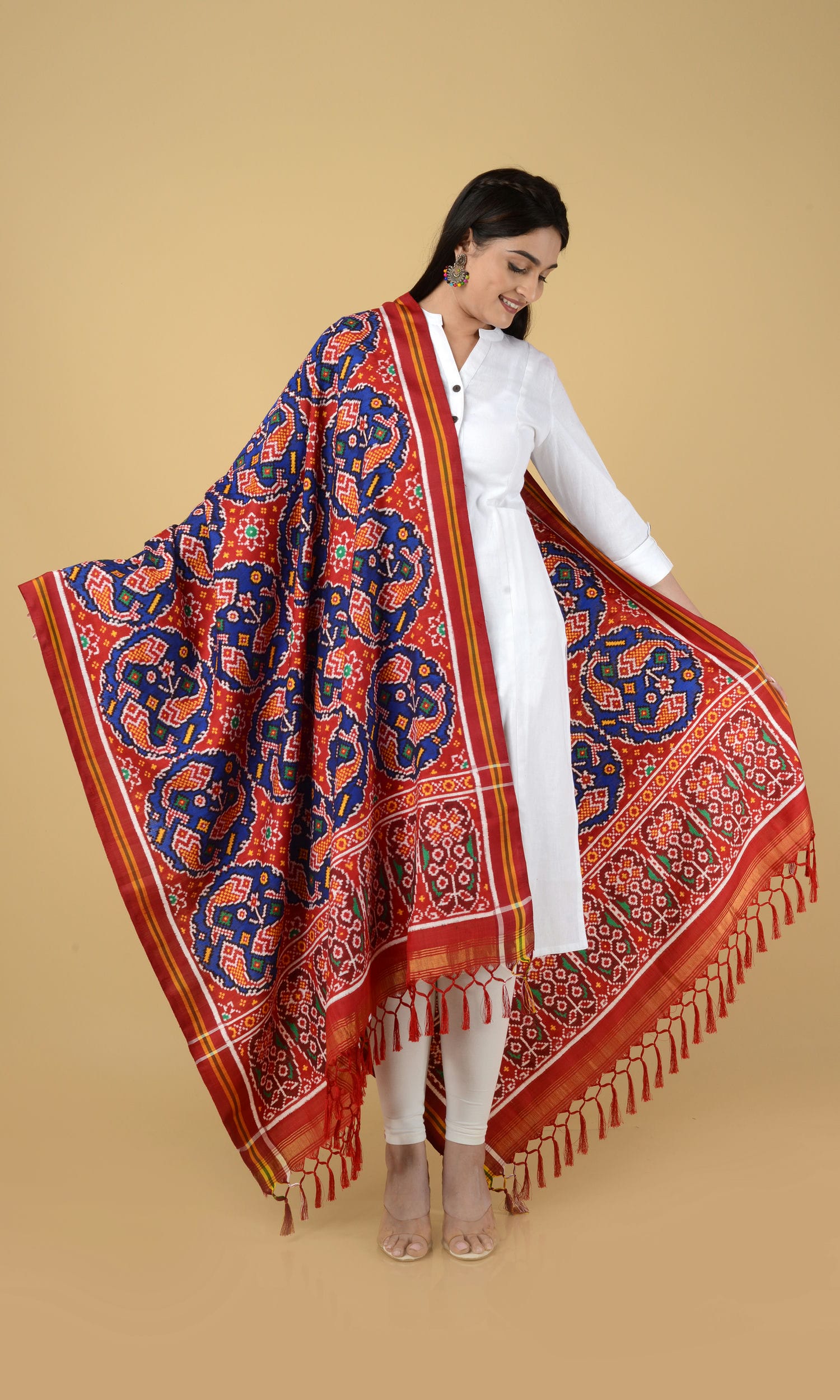 Double Ikat Patola Dupatta Fish Chhabdi